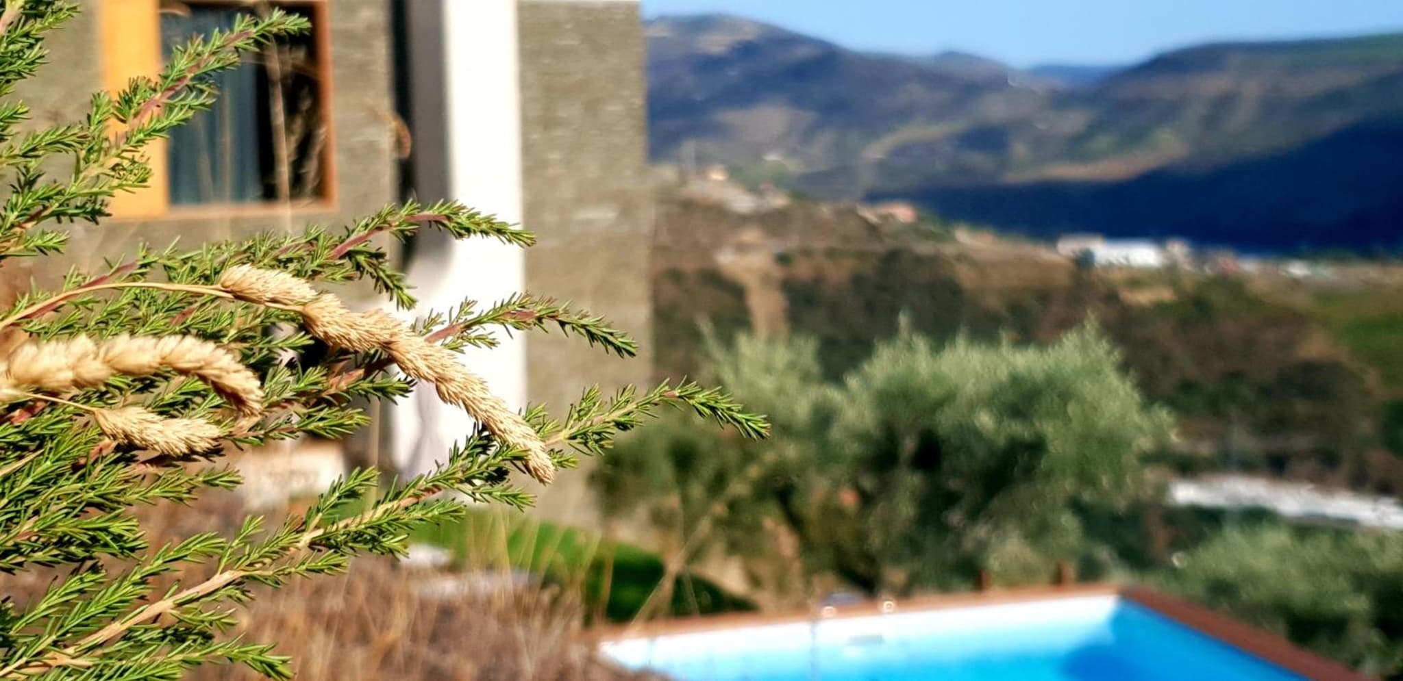 Casa do Arco by Douro Exclusive photo 7
