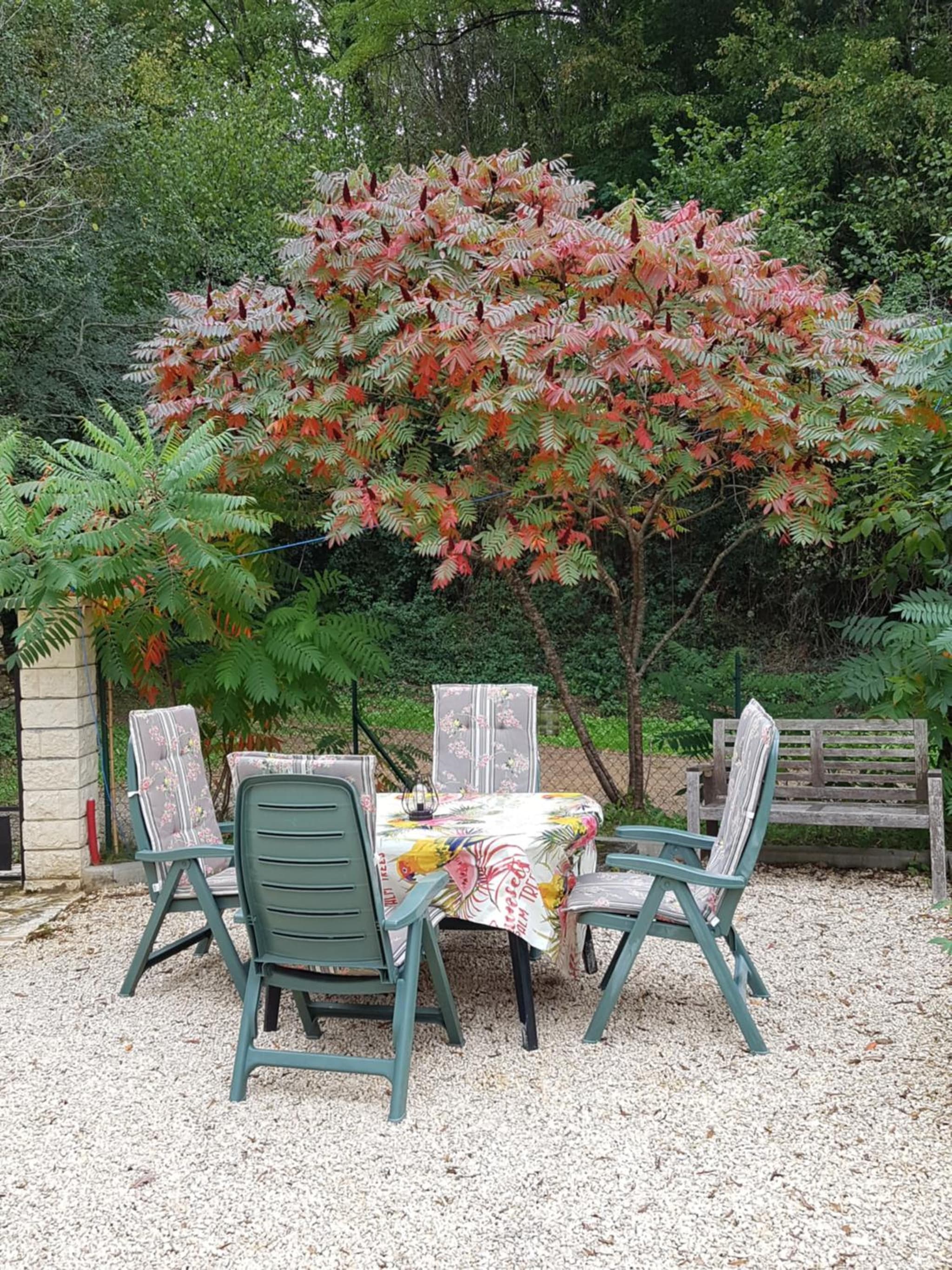 La Perle De Frayssinet-Le-Gélat - Chambre d'Hôtes - B&B photo 5
