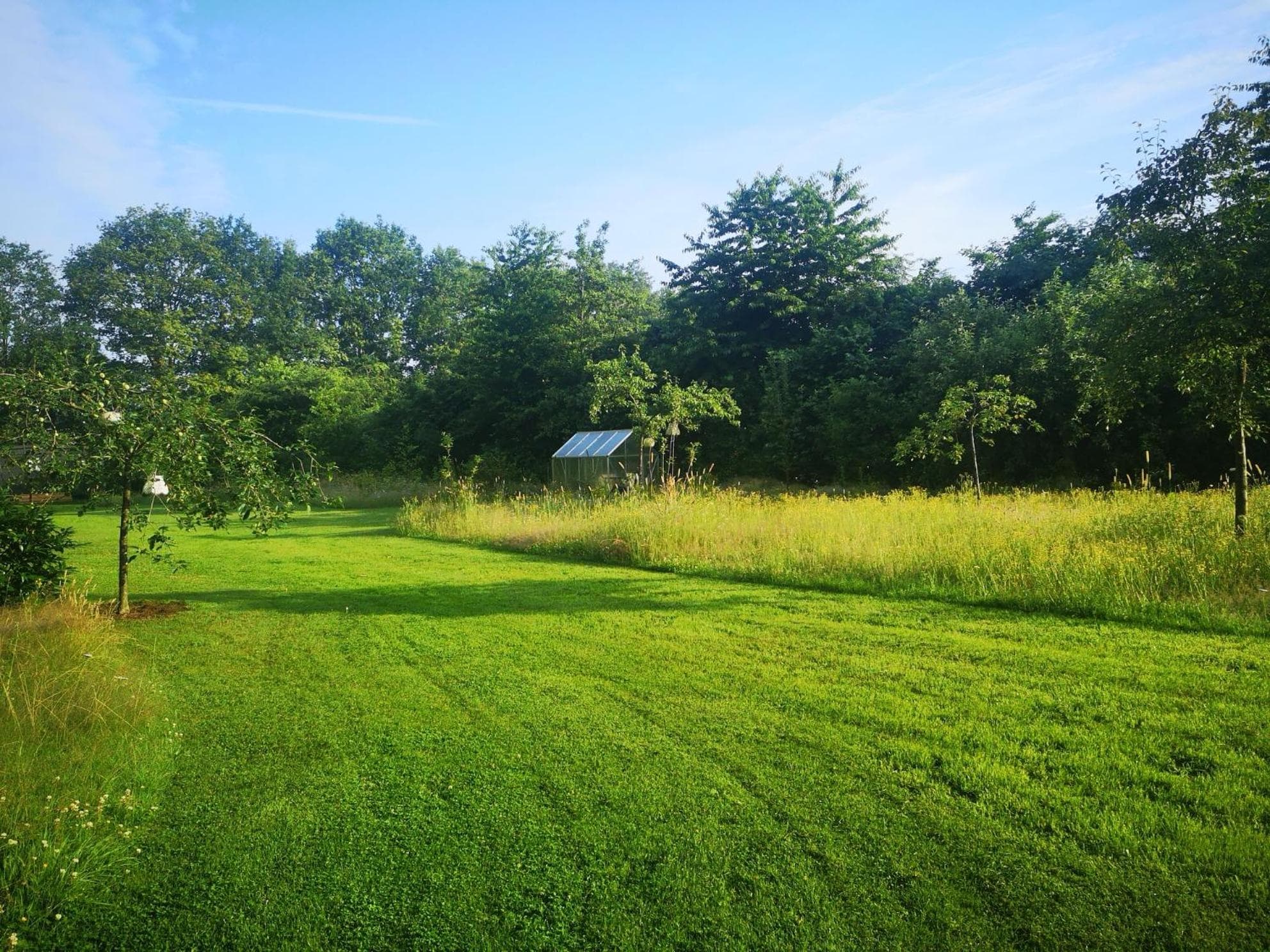 Bed & Breakfast Markelo photo 5