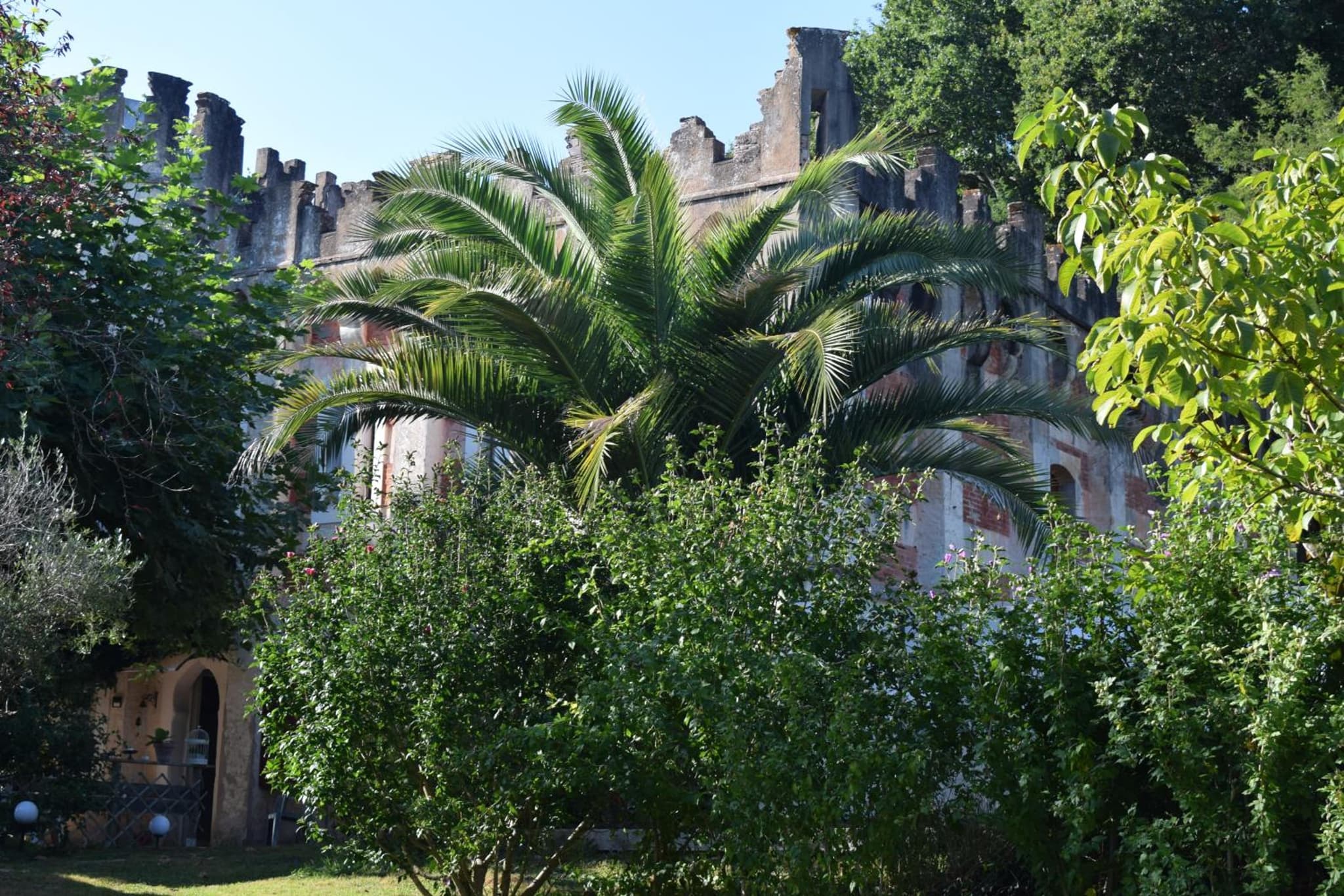 La Tuilerie 1860 photo 4
