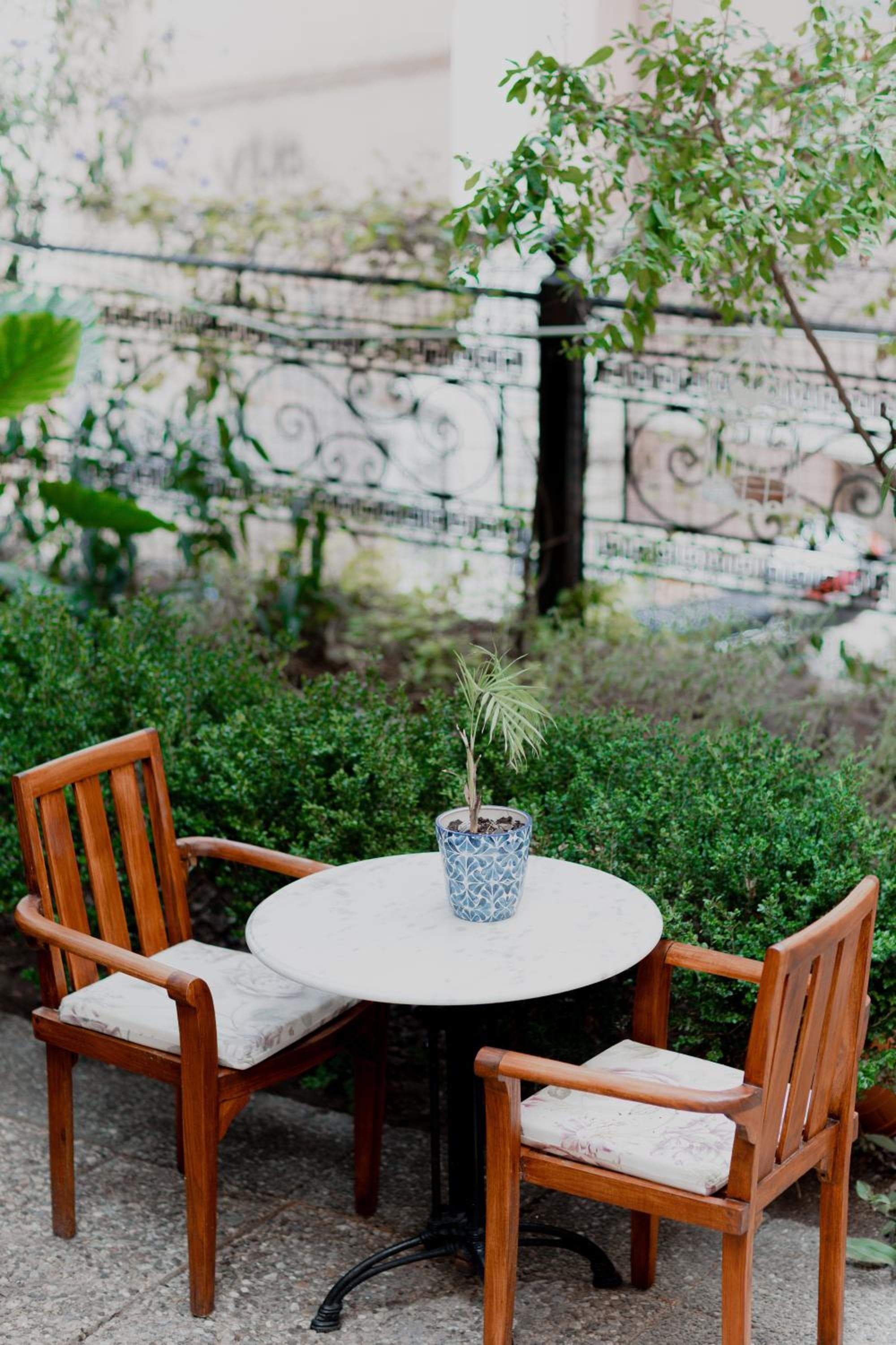 Rigas Pension Nafplio photo 9
