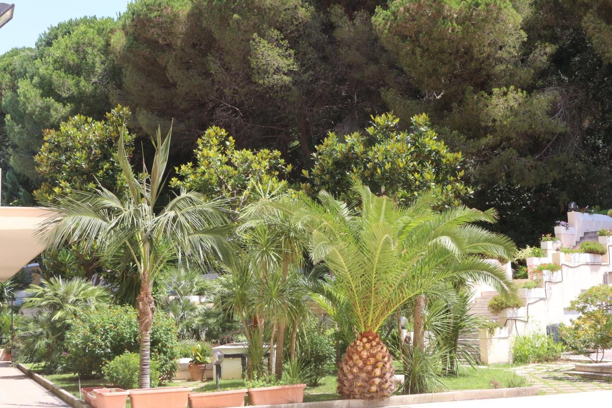 Hotel Mirasole International photo 5