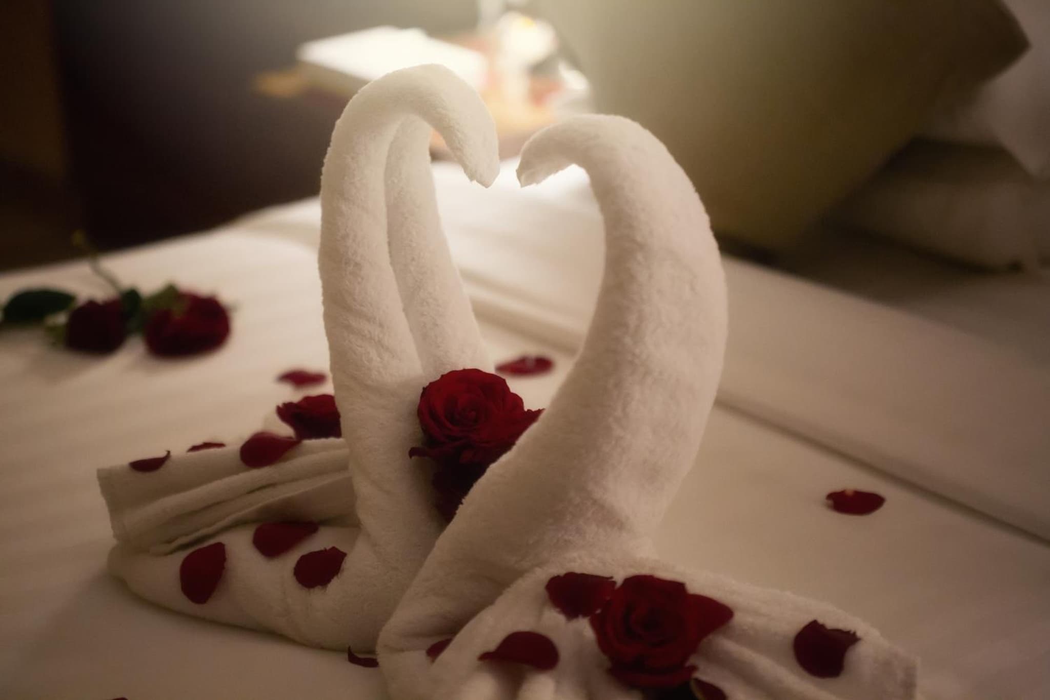 Al Safwah Orchid Hotel photo 4