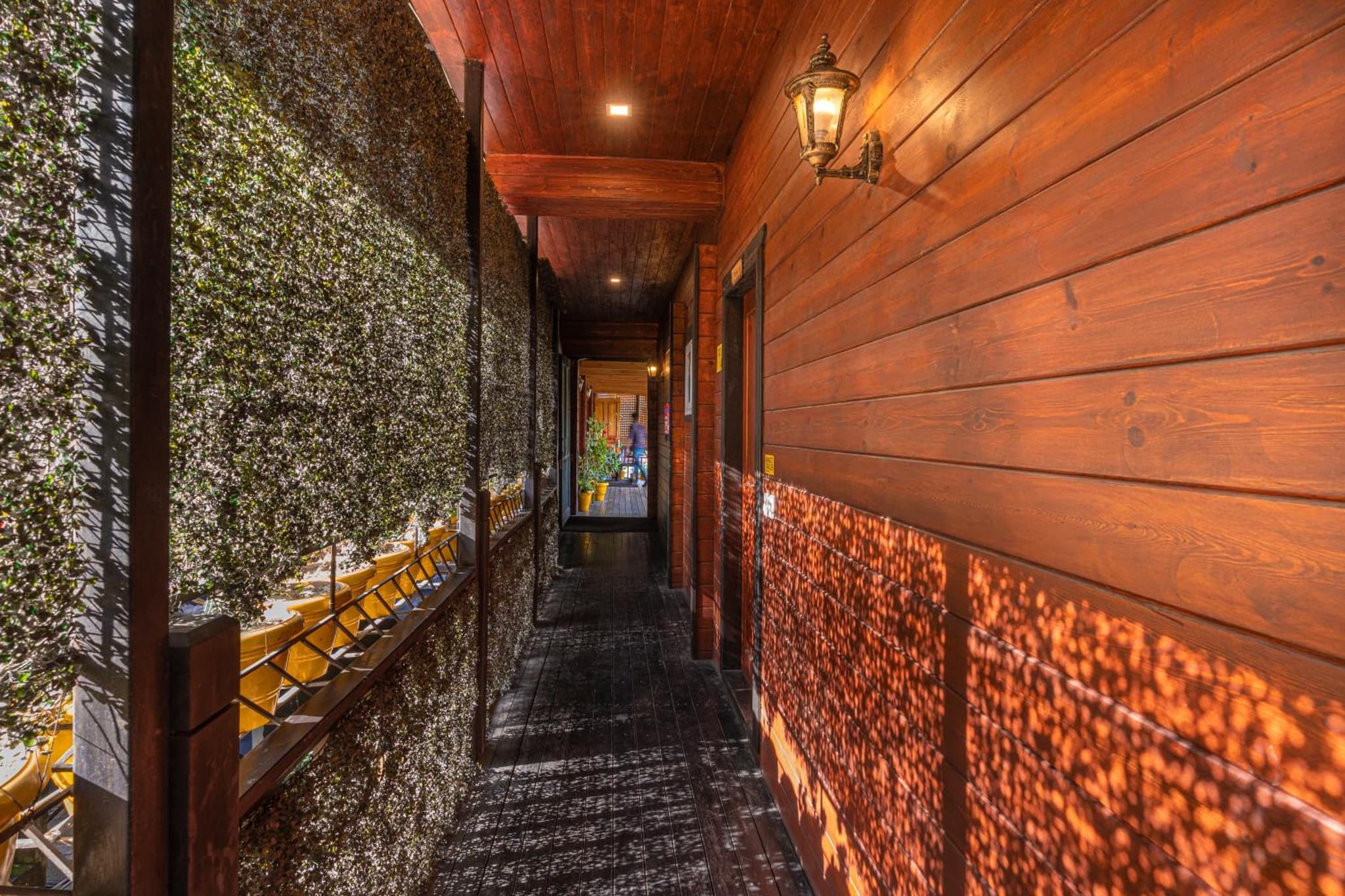 The Hosteller Kasar Devi photo 3