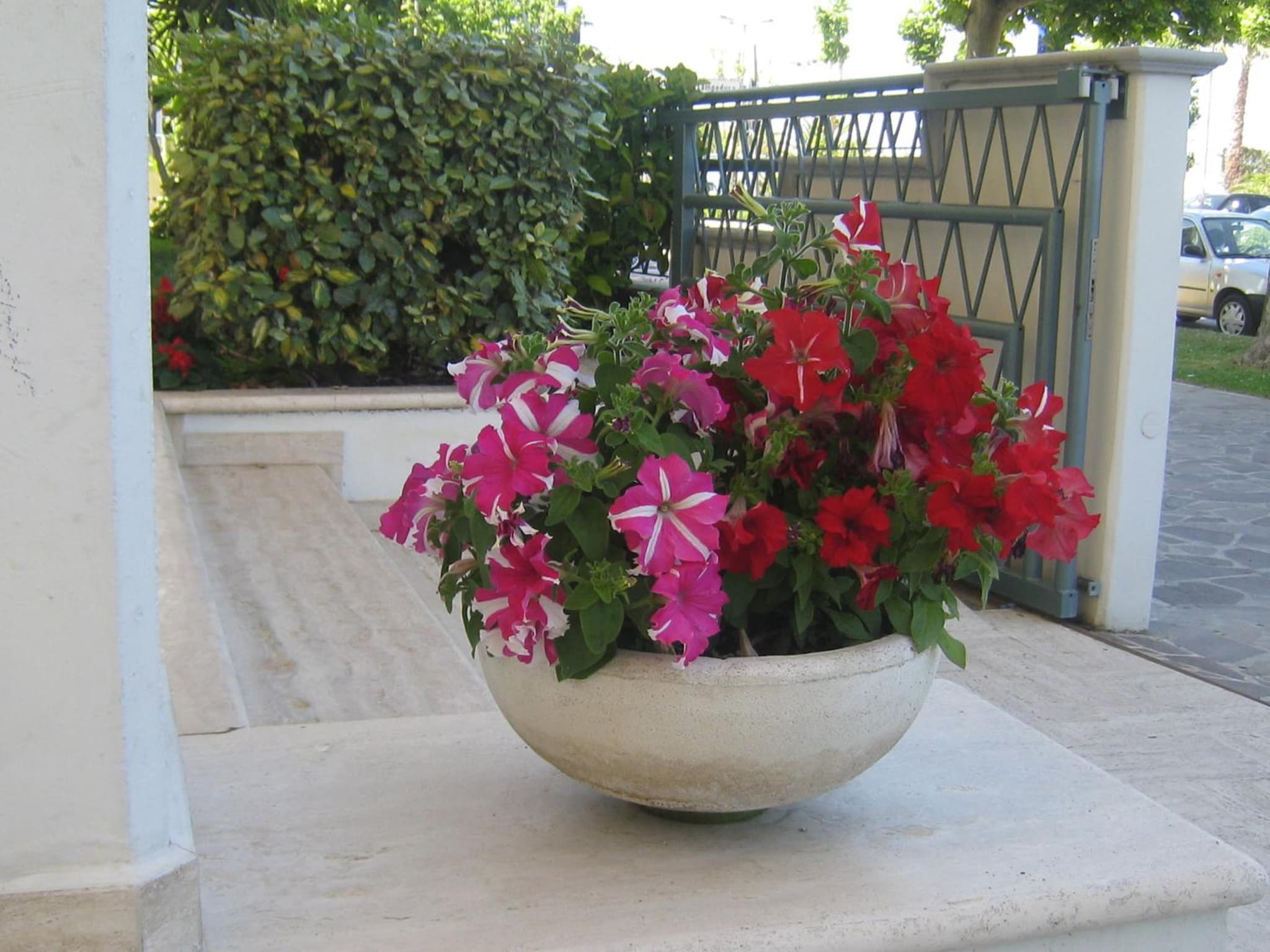 Hotel Miramare photo 8