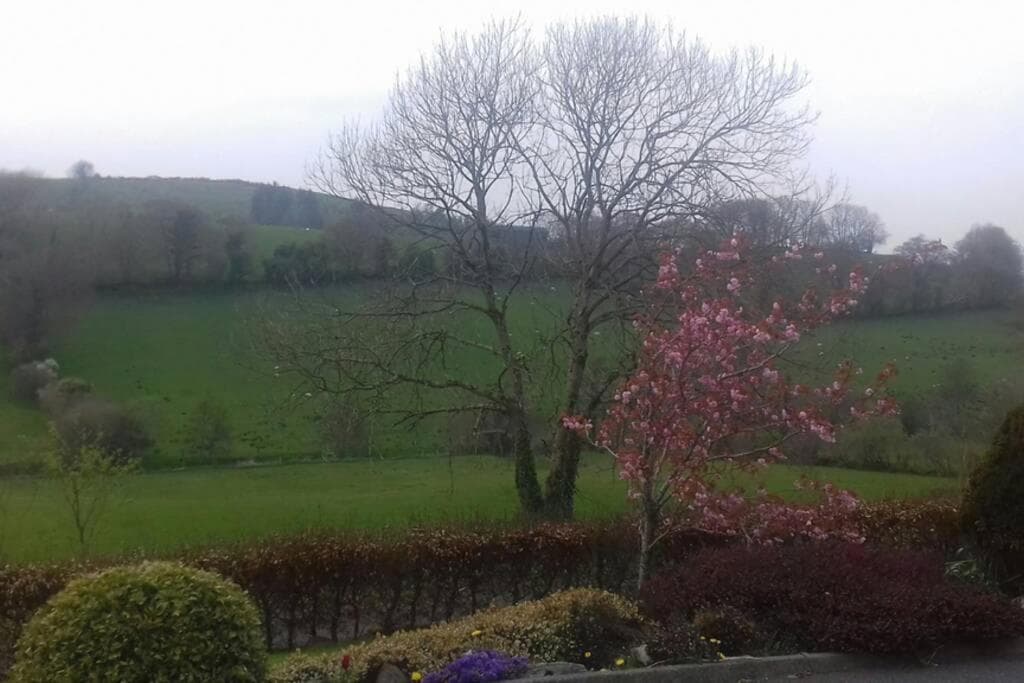 Drumgowan House photo 5