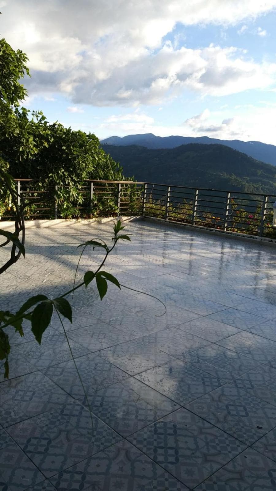 Casa NATIVO photo 9