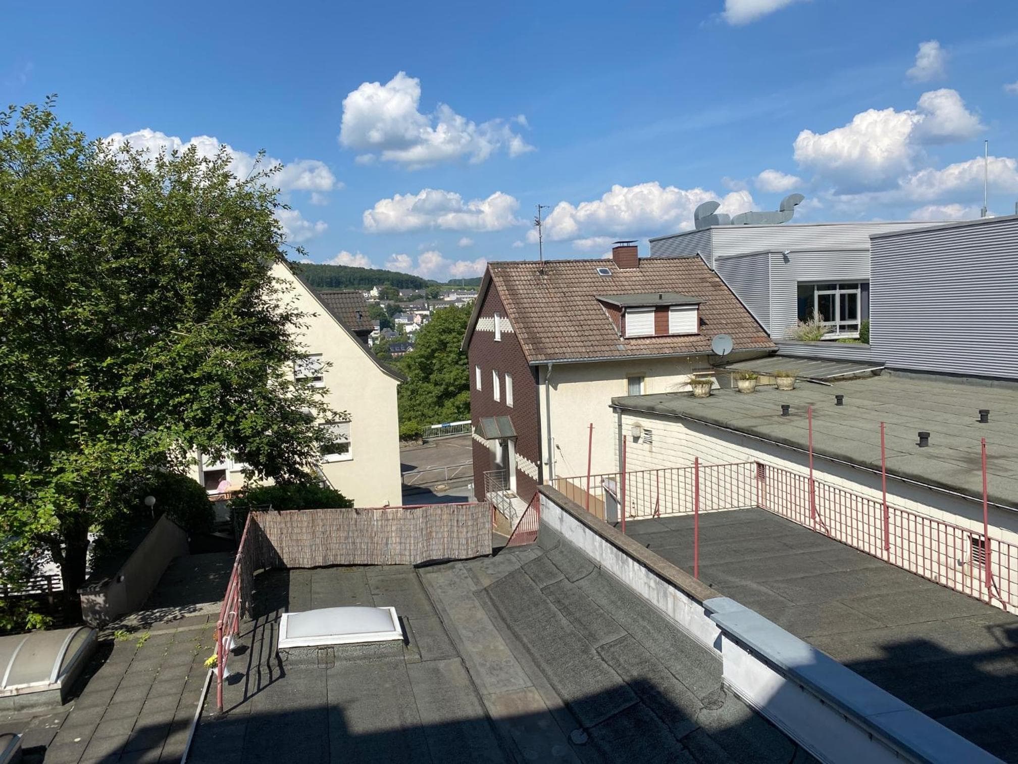 Fuchsbau unterm Krönchen photo 3