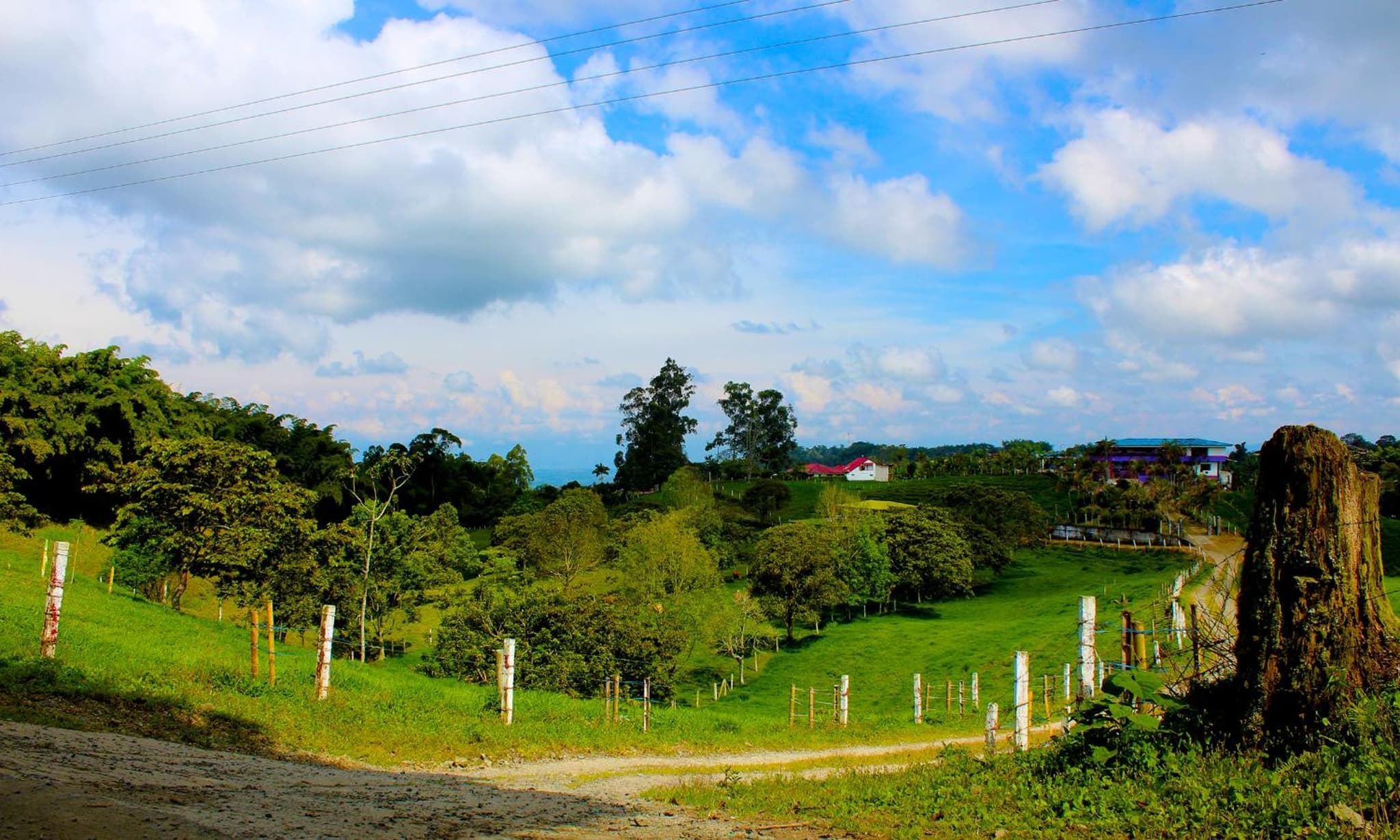 Casa Laureles photo 2
