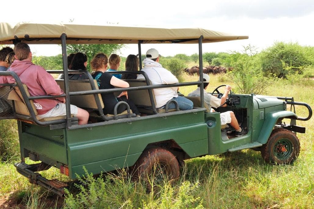 Sondela Nature Reserve & Spa Chalets photo 5