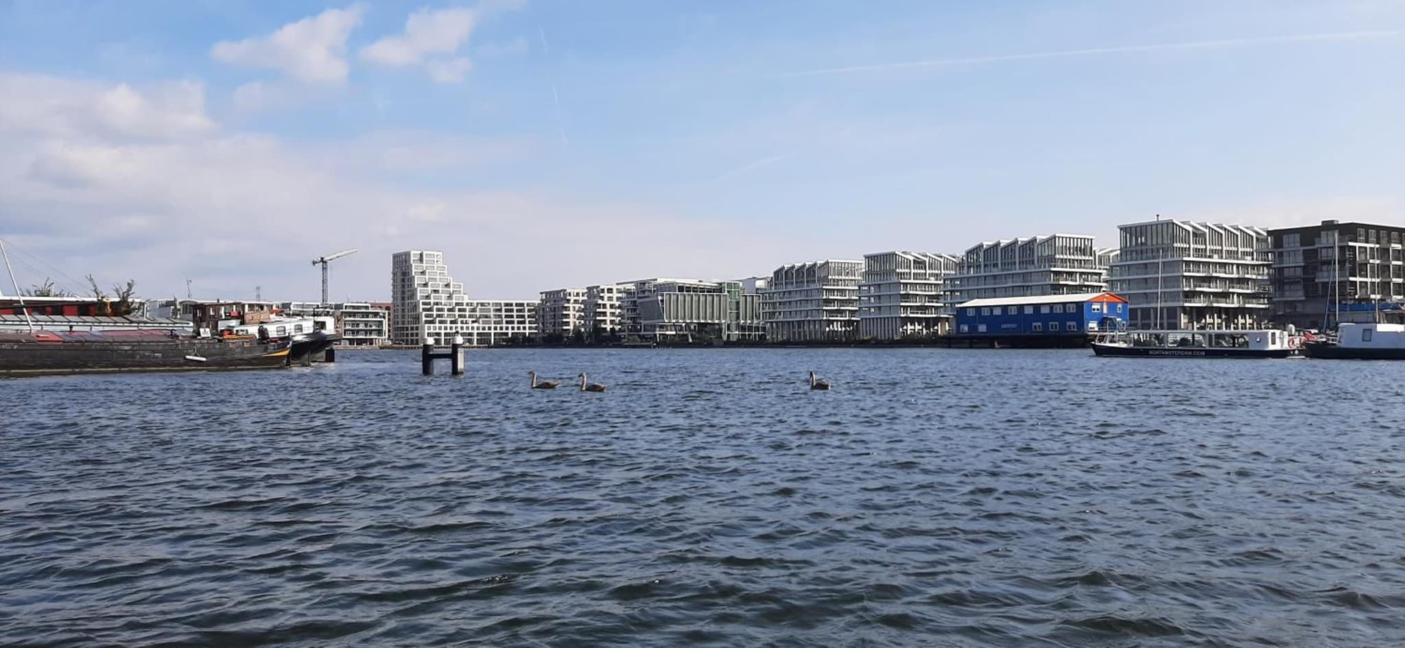 Waterfront Studio photo 6