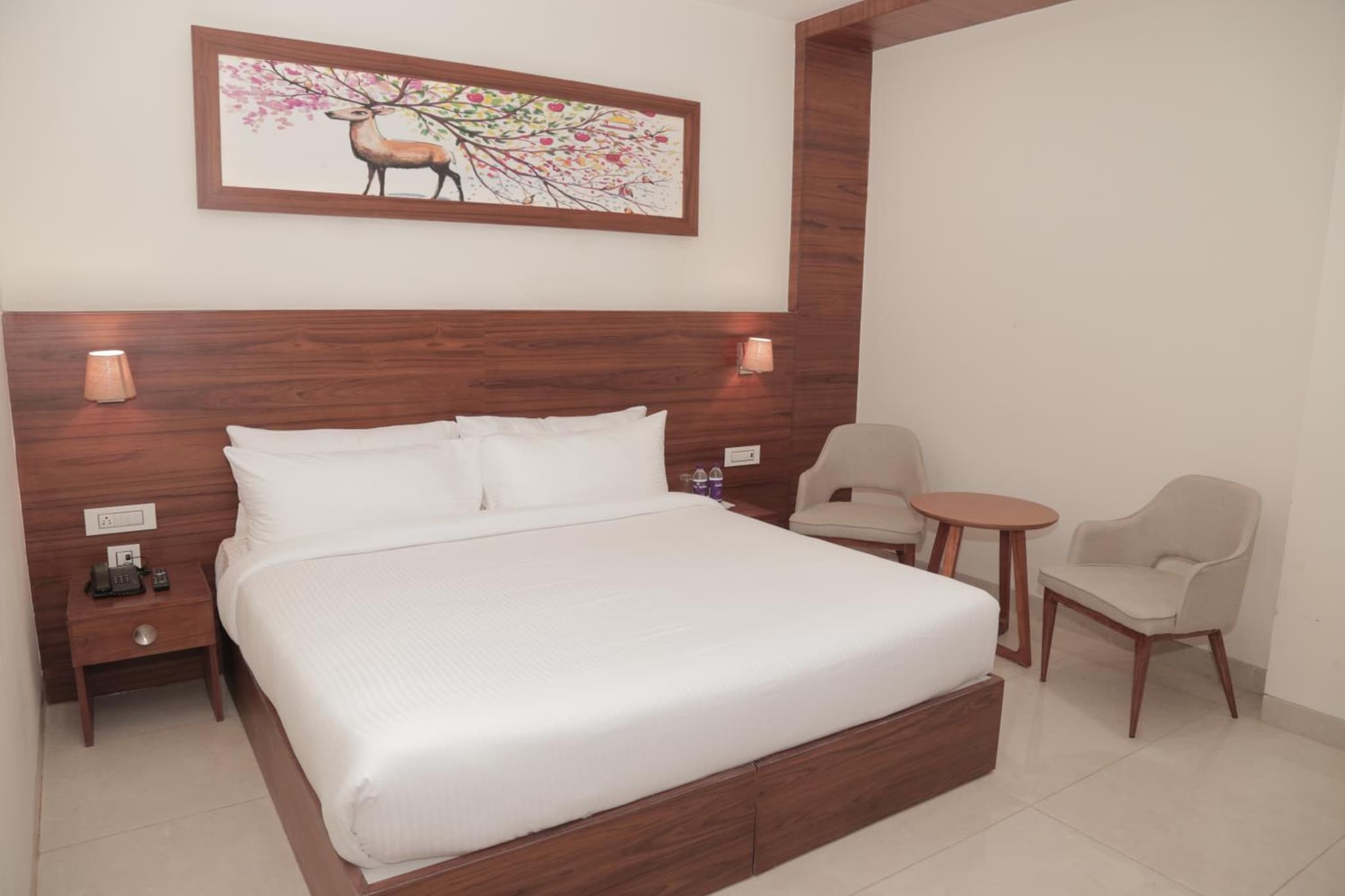 HoTeL TRENOR photo 8