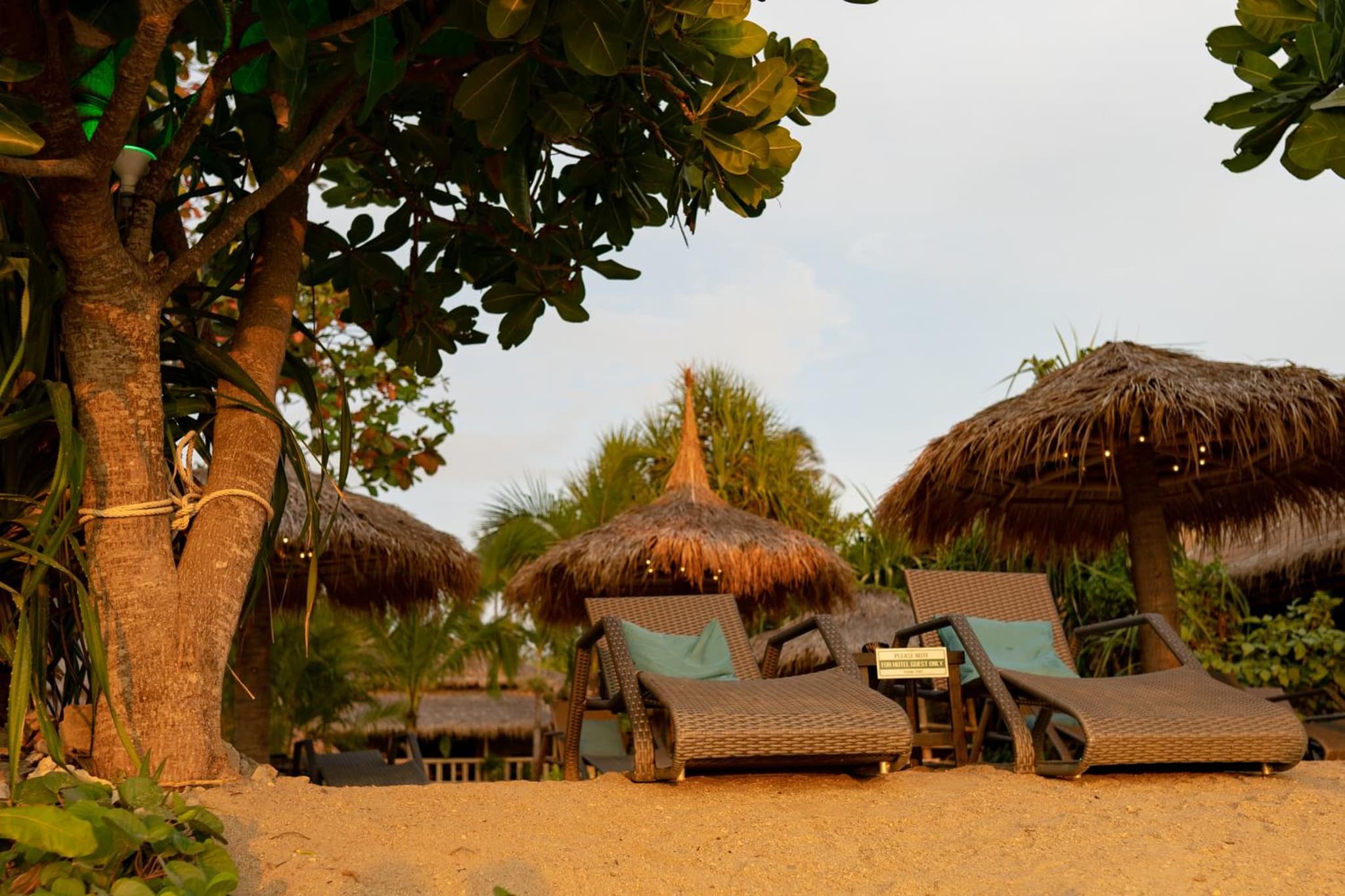 The Lazy Lodge photo 6