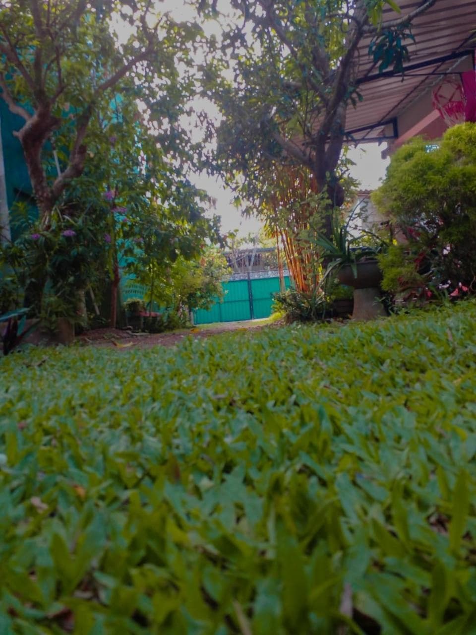 Shan Villa photo 6