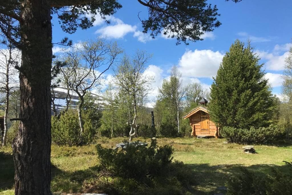 Fjellro Mountain Cabin photo 5