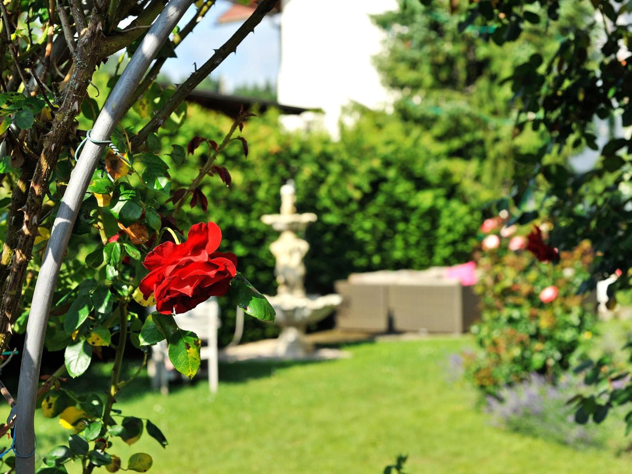 Pension Piovesan photo 2
