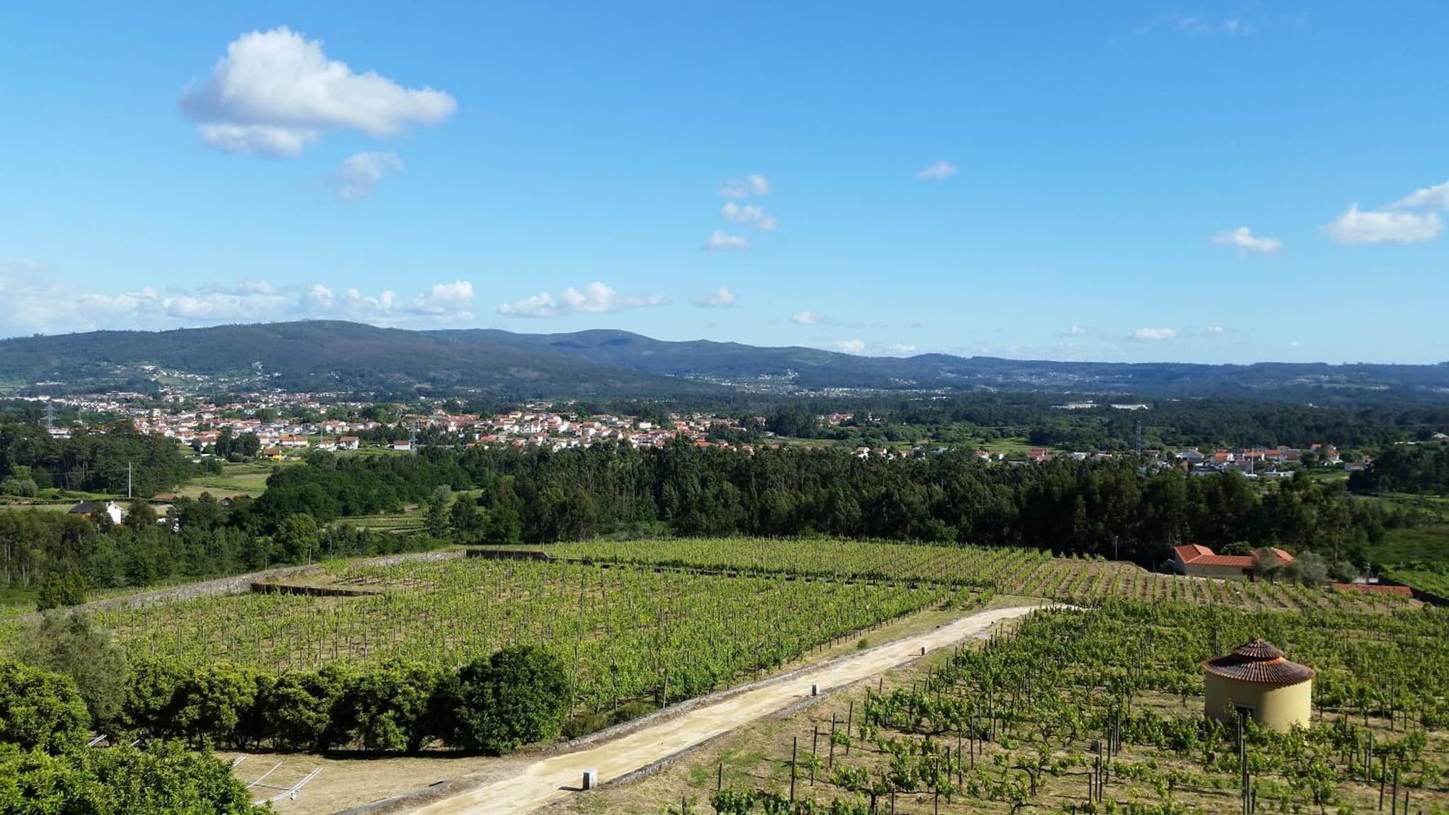 Casas do Monte de Roques photo 6