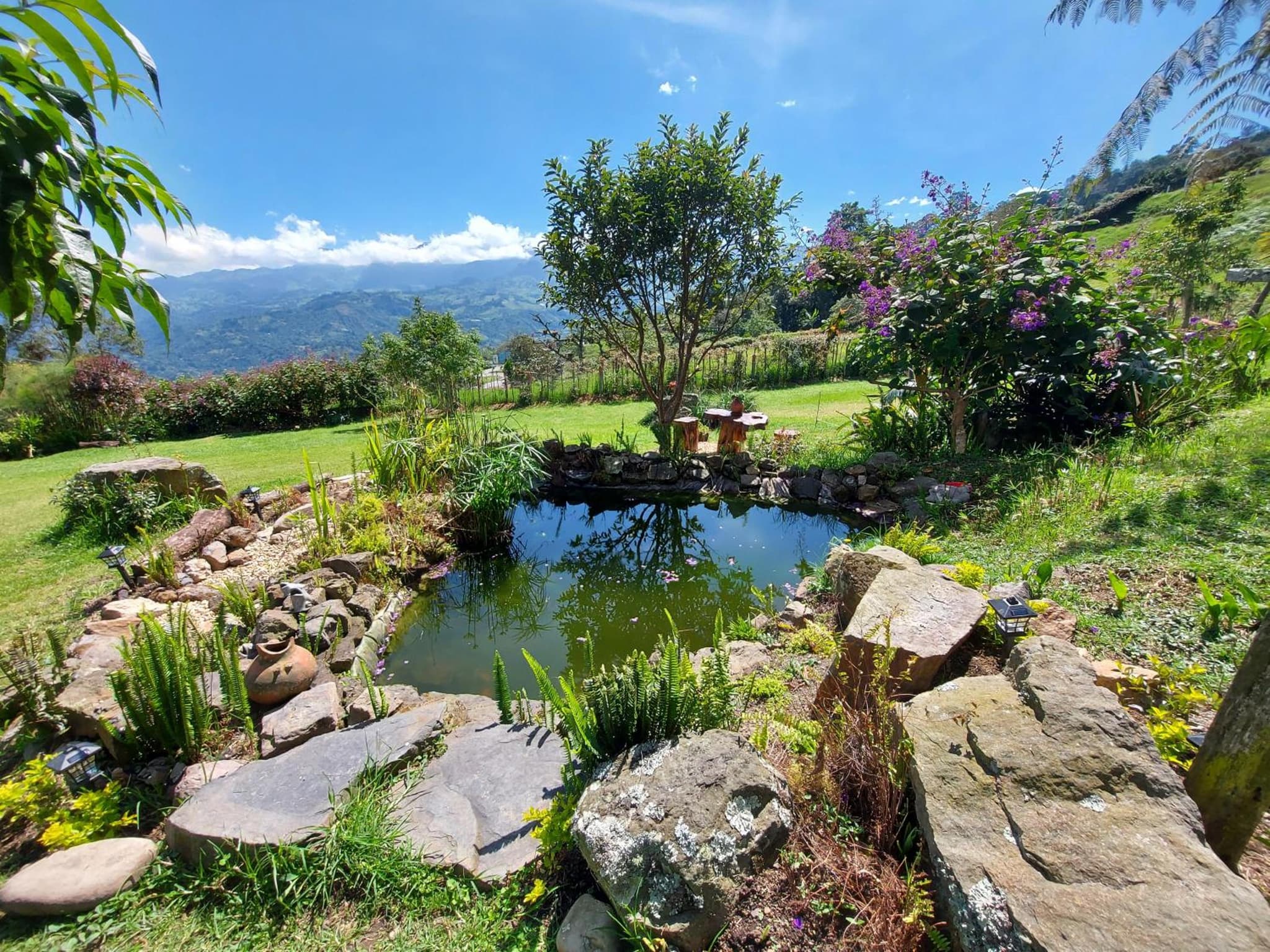 Naturaleza en armonia photo 4
