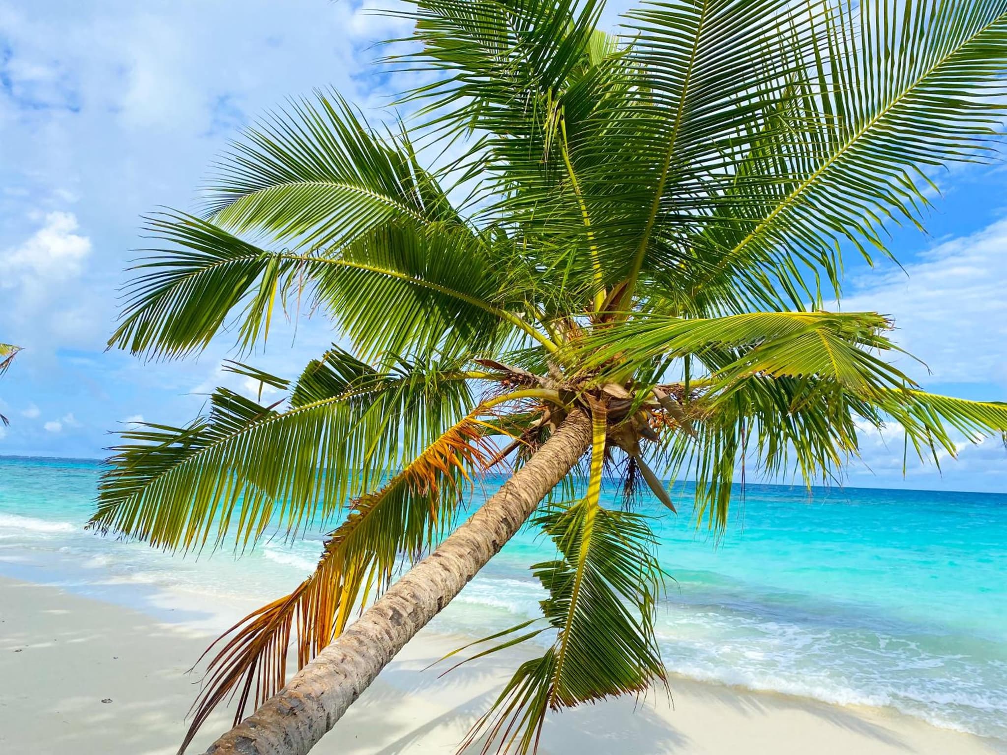 TME Retreats Dhigurah photo 6