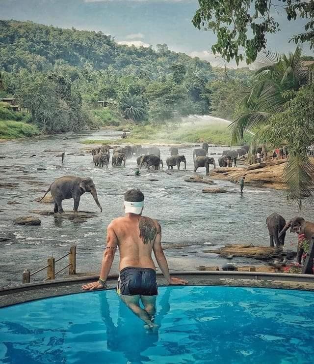 Hotel Elephant Bay - World's Best Place to See the Elephants