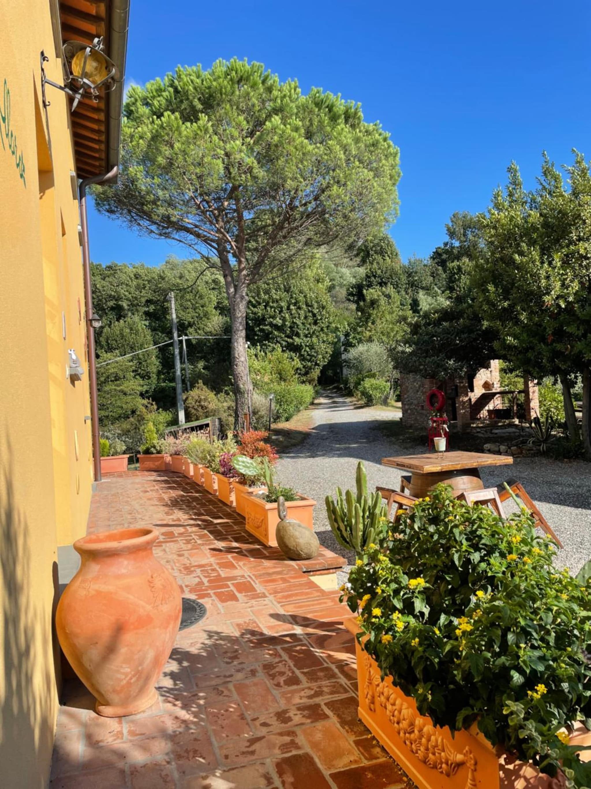 B&B Alloro photo 6