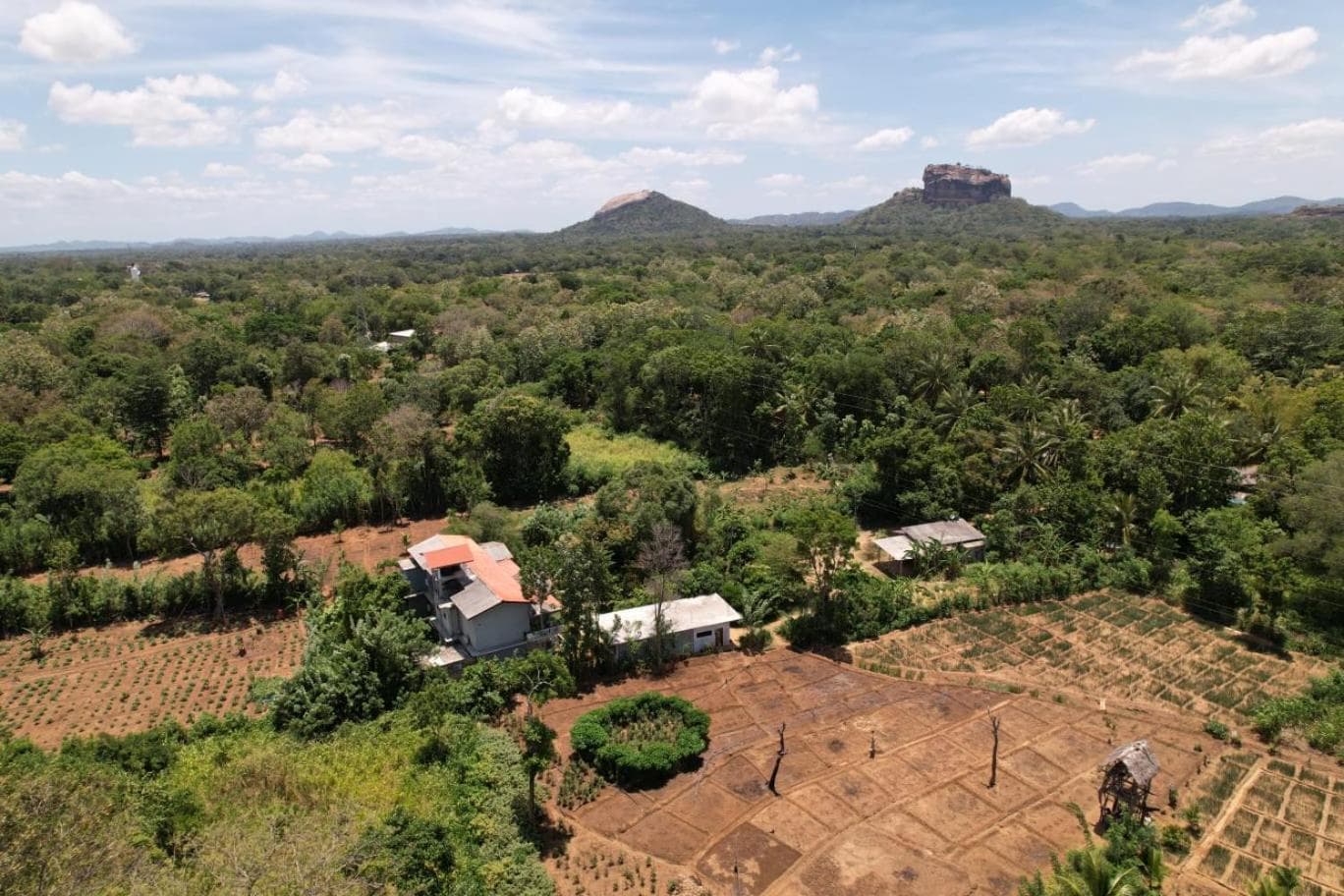 Sigiriya Sun Shine Villa photo 3