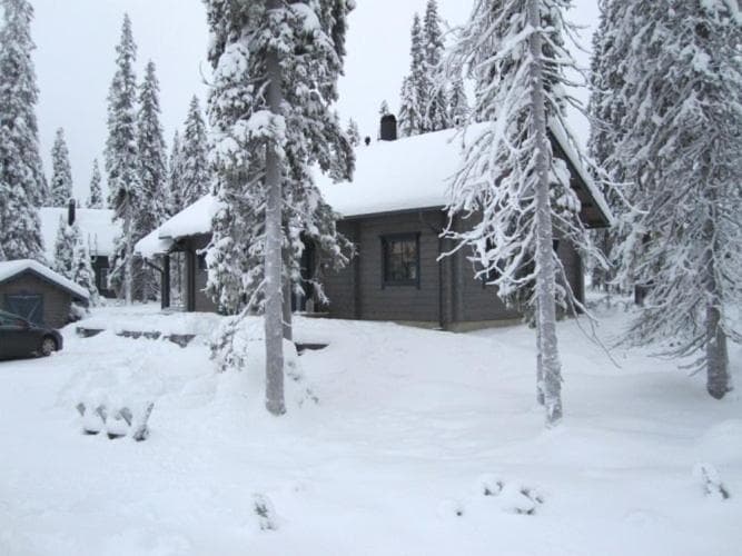 Kanerva photo 7