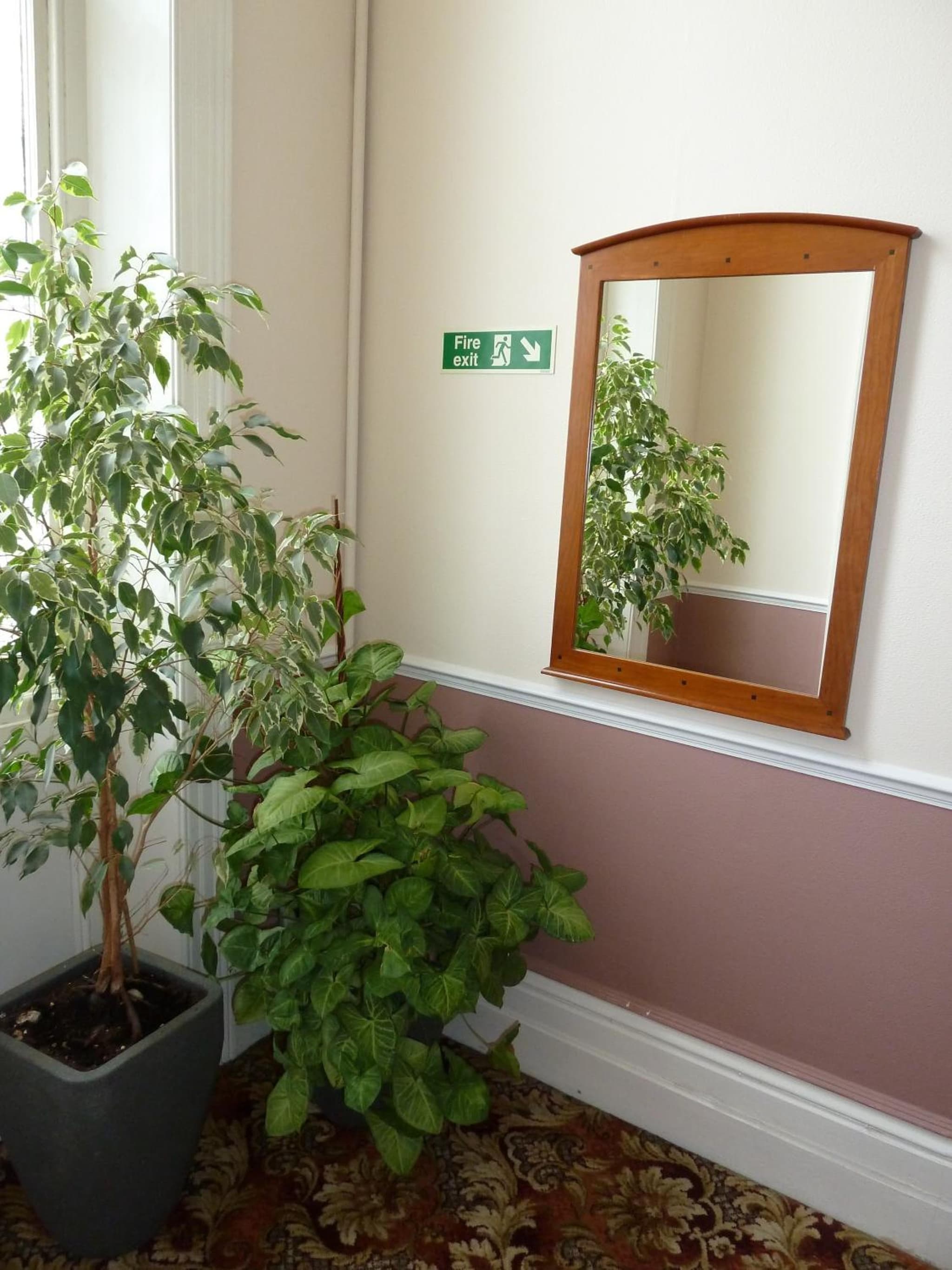 Tregonholme Hotel photo 2