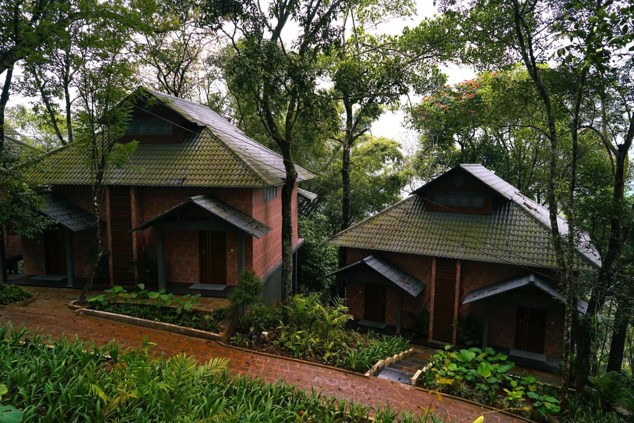 Elephant Passage photo 4