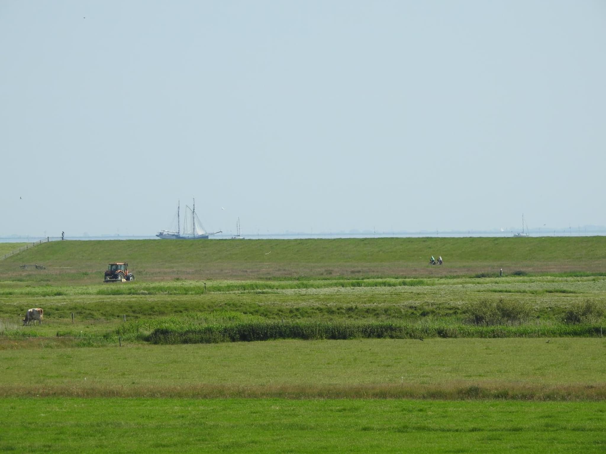 De Stormvogel photo 7