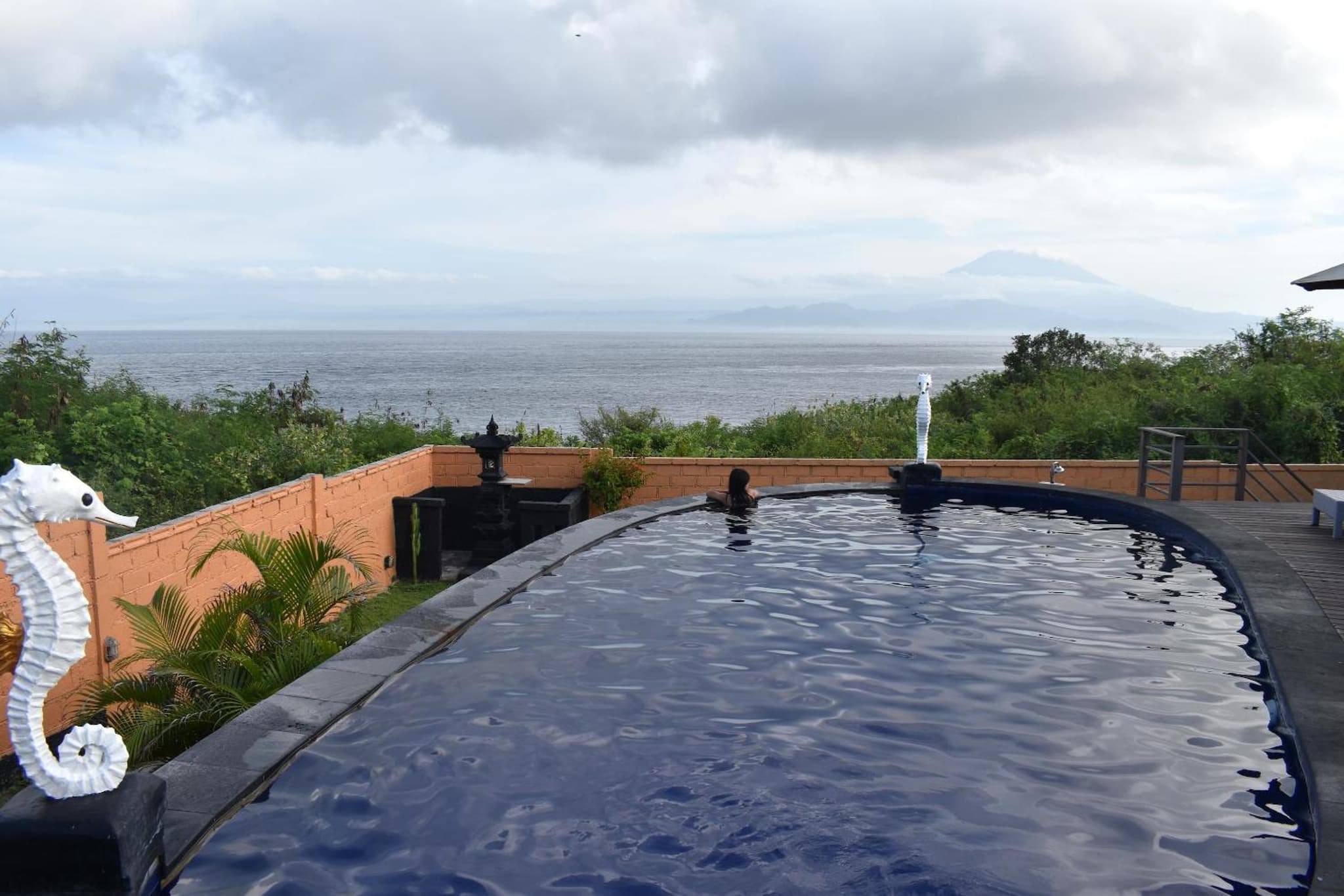 Bali Belva photo 7