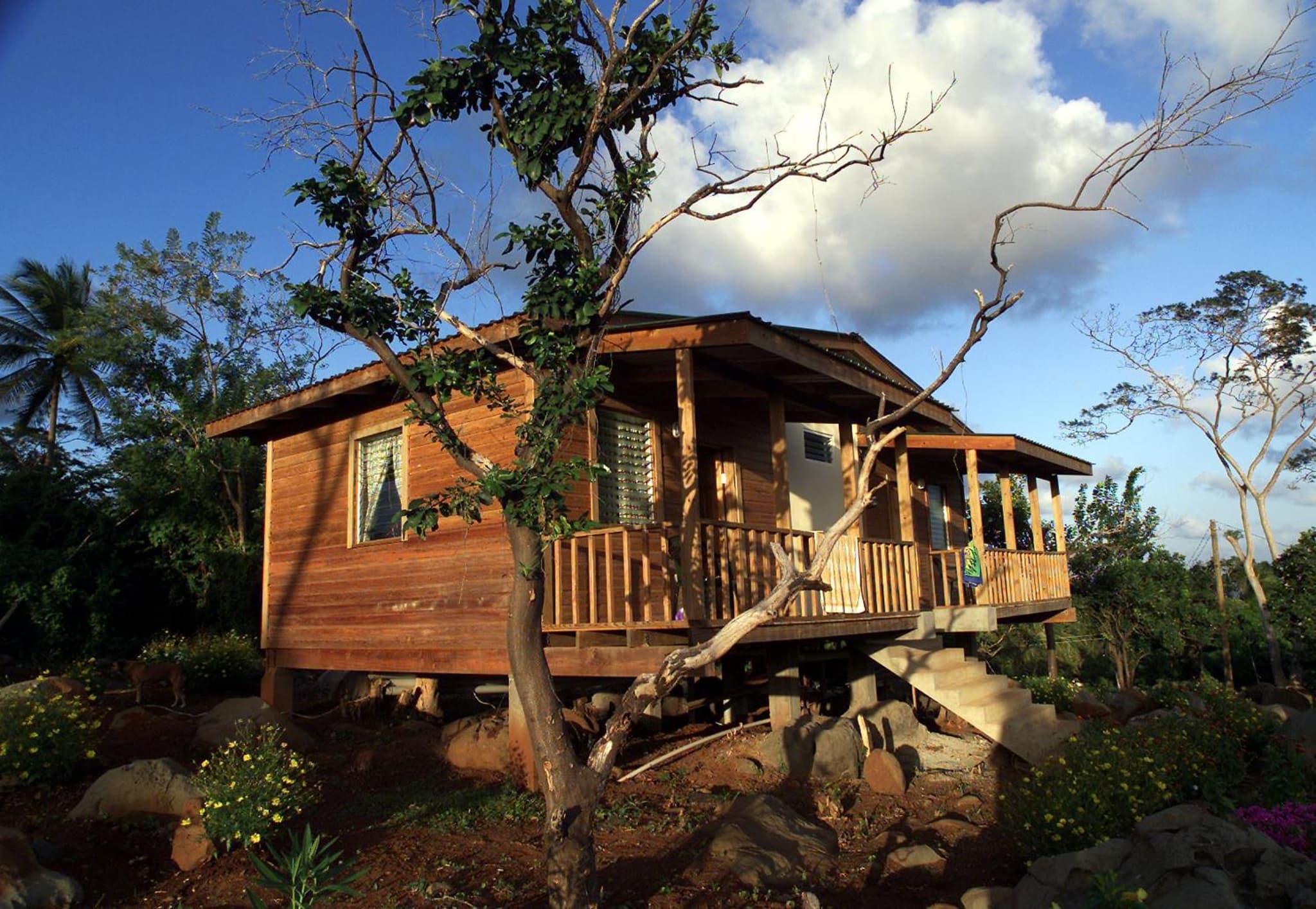 Big Sky Lodge photo 5