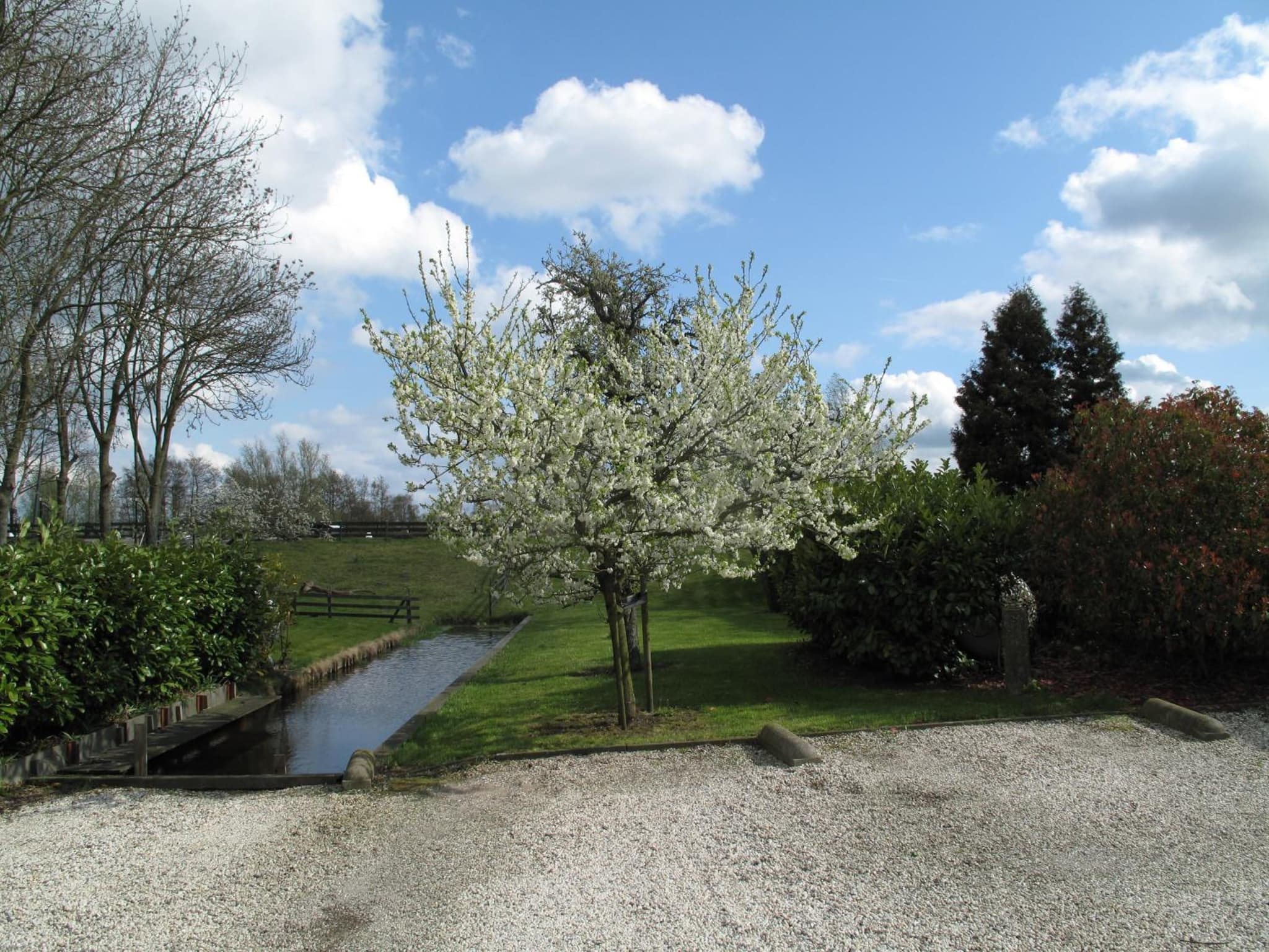 The Waverly House photo 7