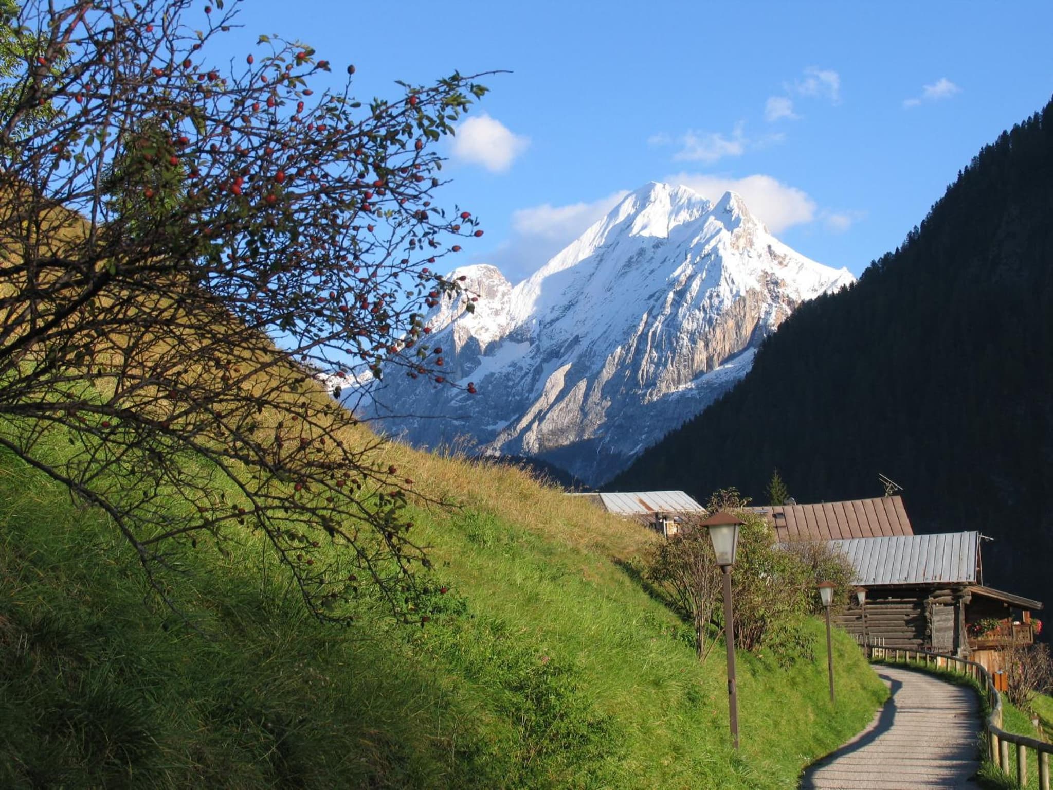 Chalet Pian photo 4