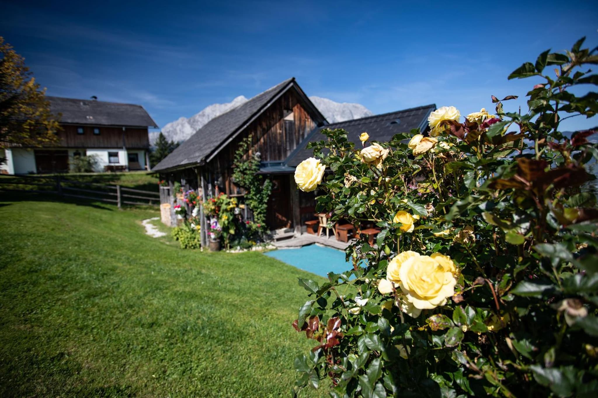 Buchmann Lehen photo 4