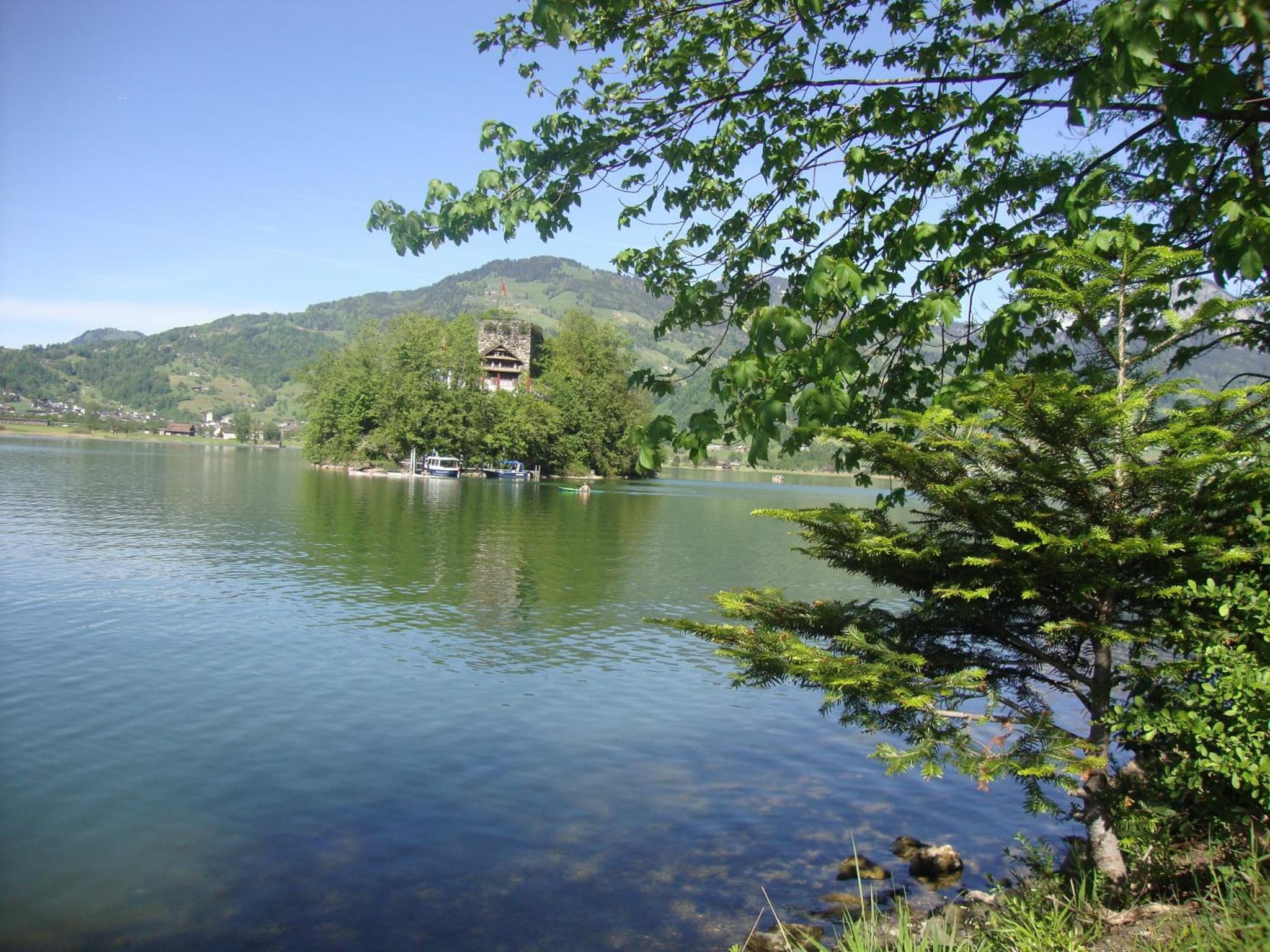 Hirschfarm, Goldau photo 8