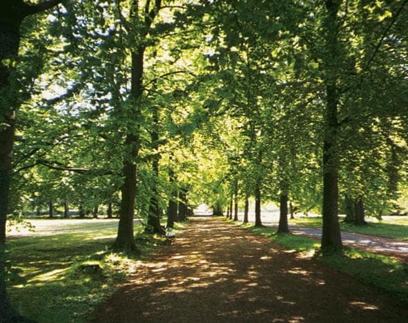 Bäckaskog Slott photo 8
