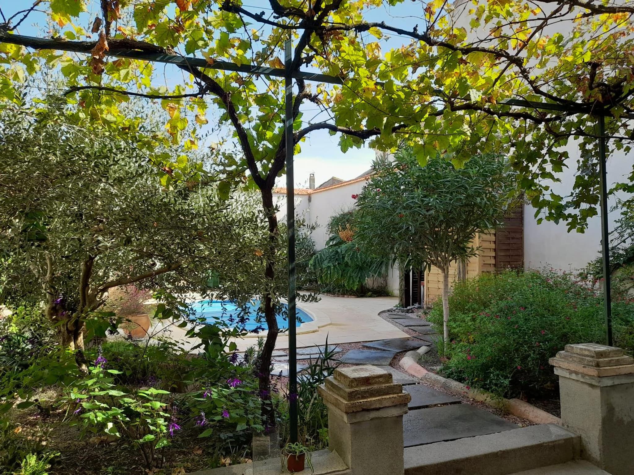 Villa Saint Léon photo 8