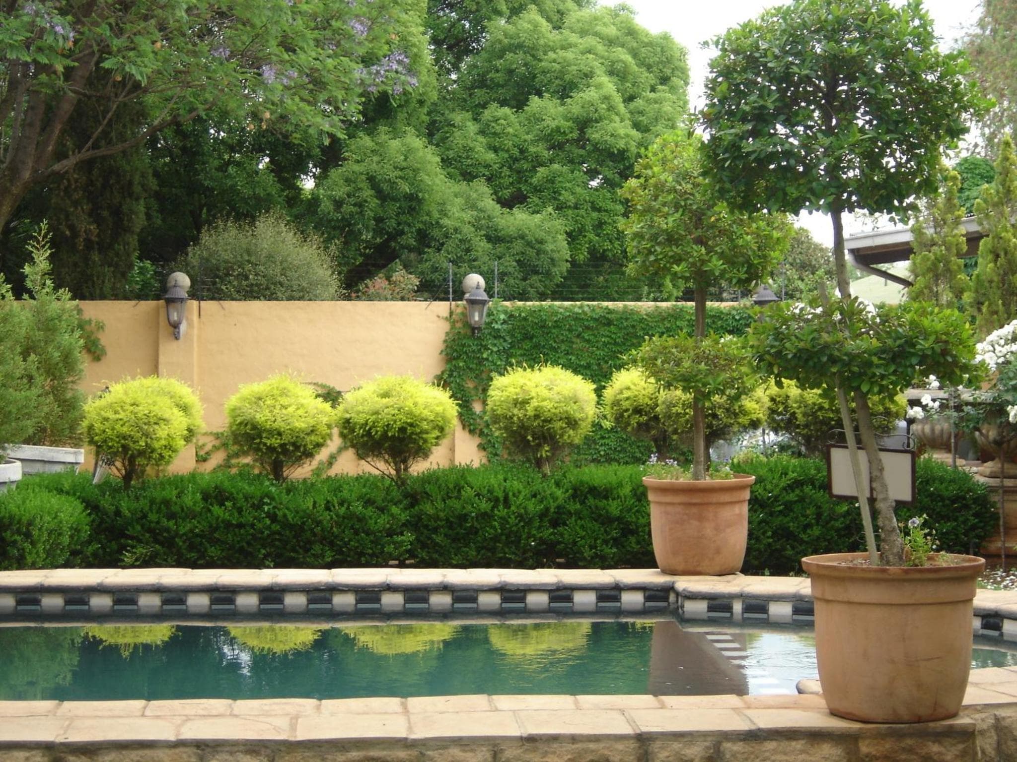 Hampton House Guest House photo 3
