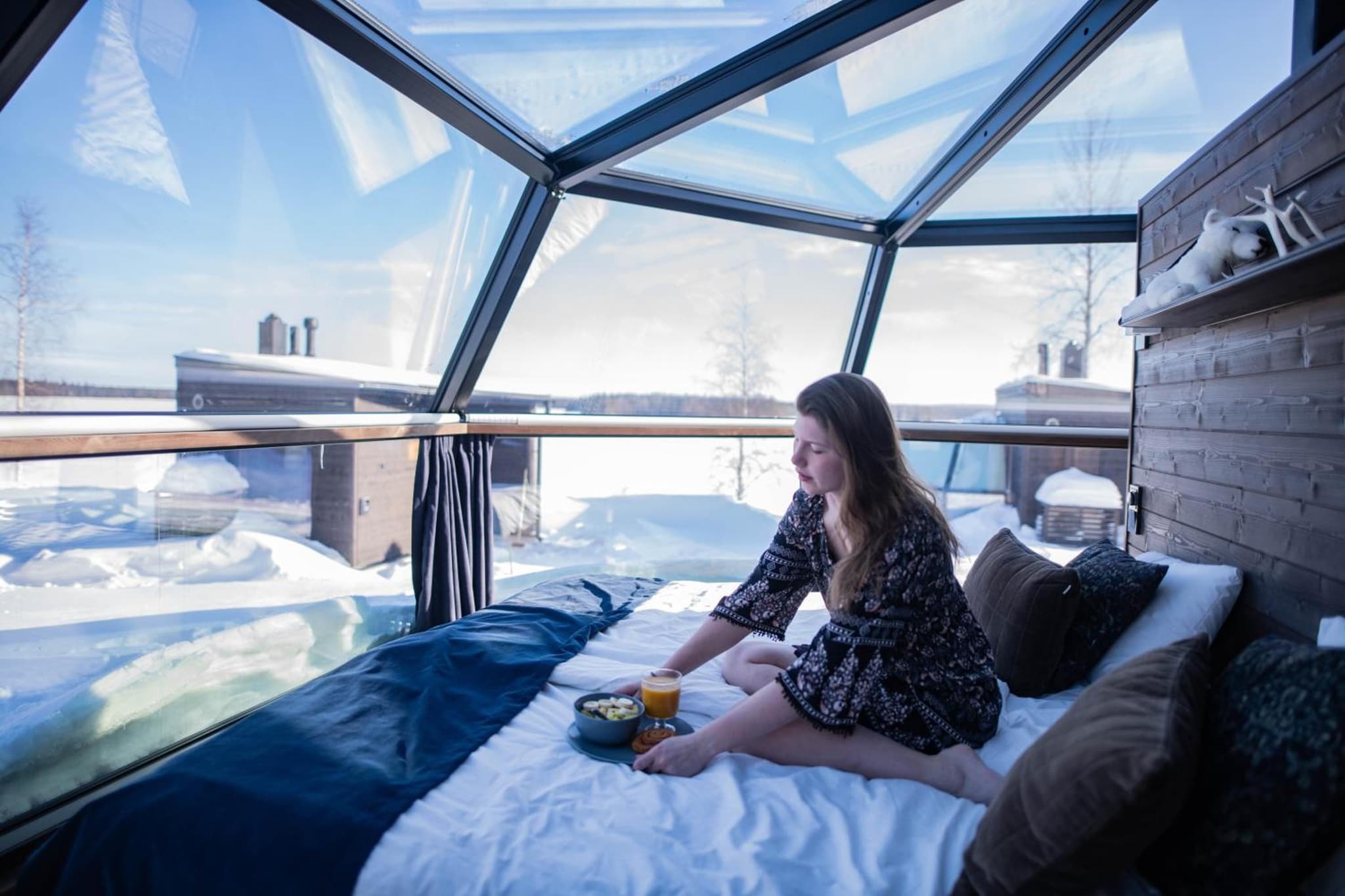 Ranua Resort Arctic Igloos photo 9