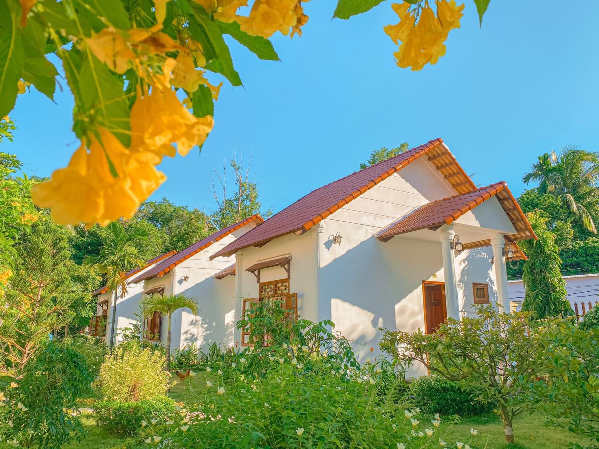 Wings Bungalow photo 6