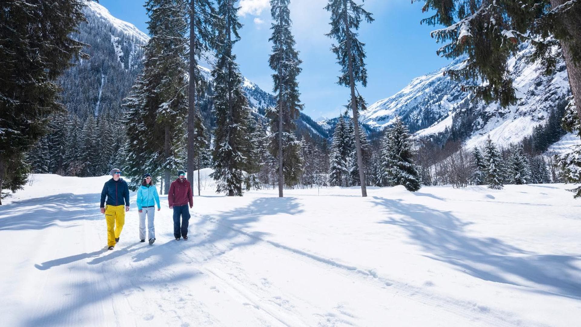 Sport-Lodge Klosters photo 3
