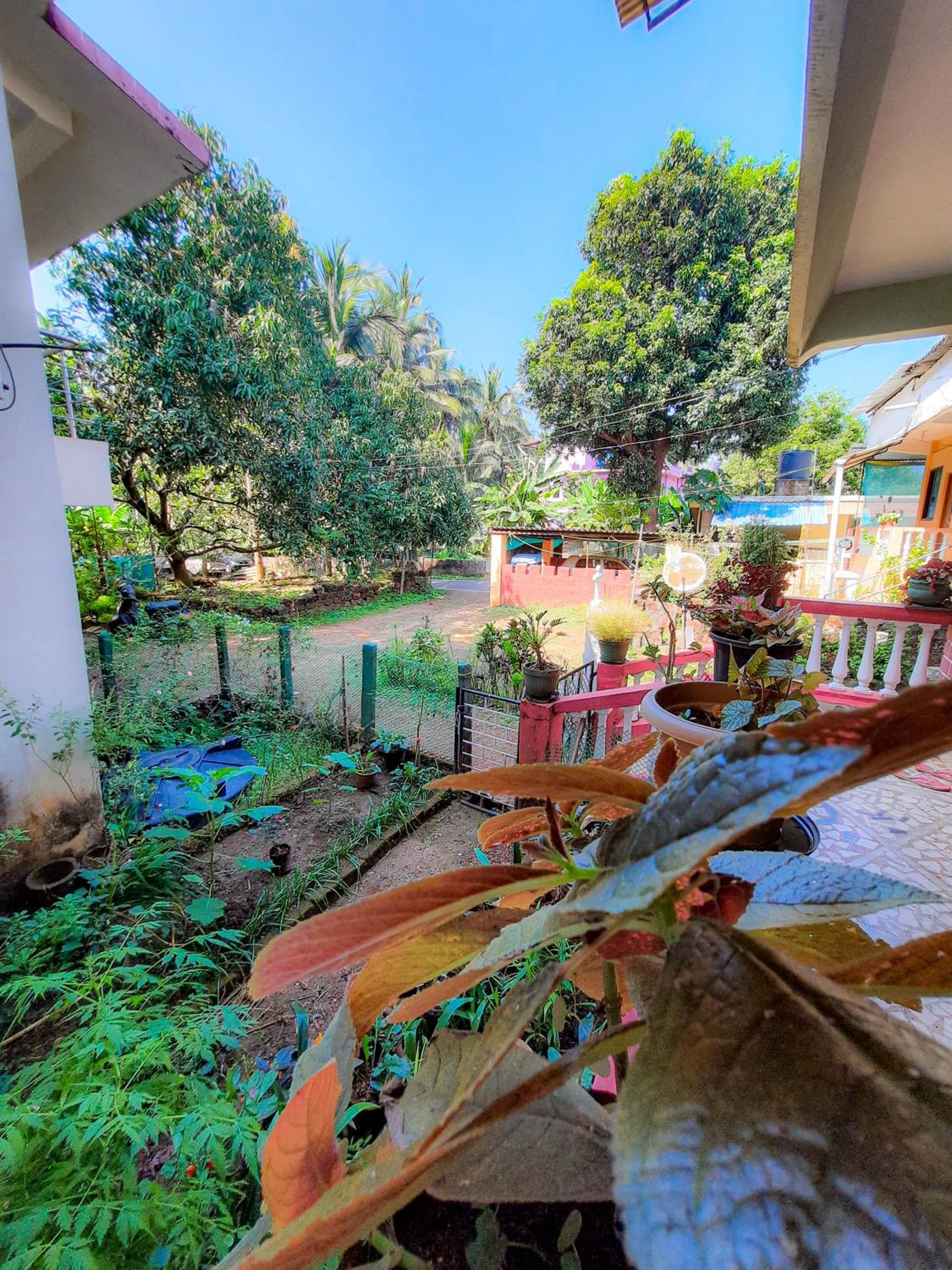 Auslyn Guest House photo 2