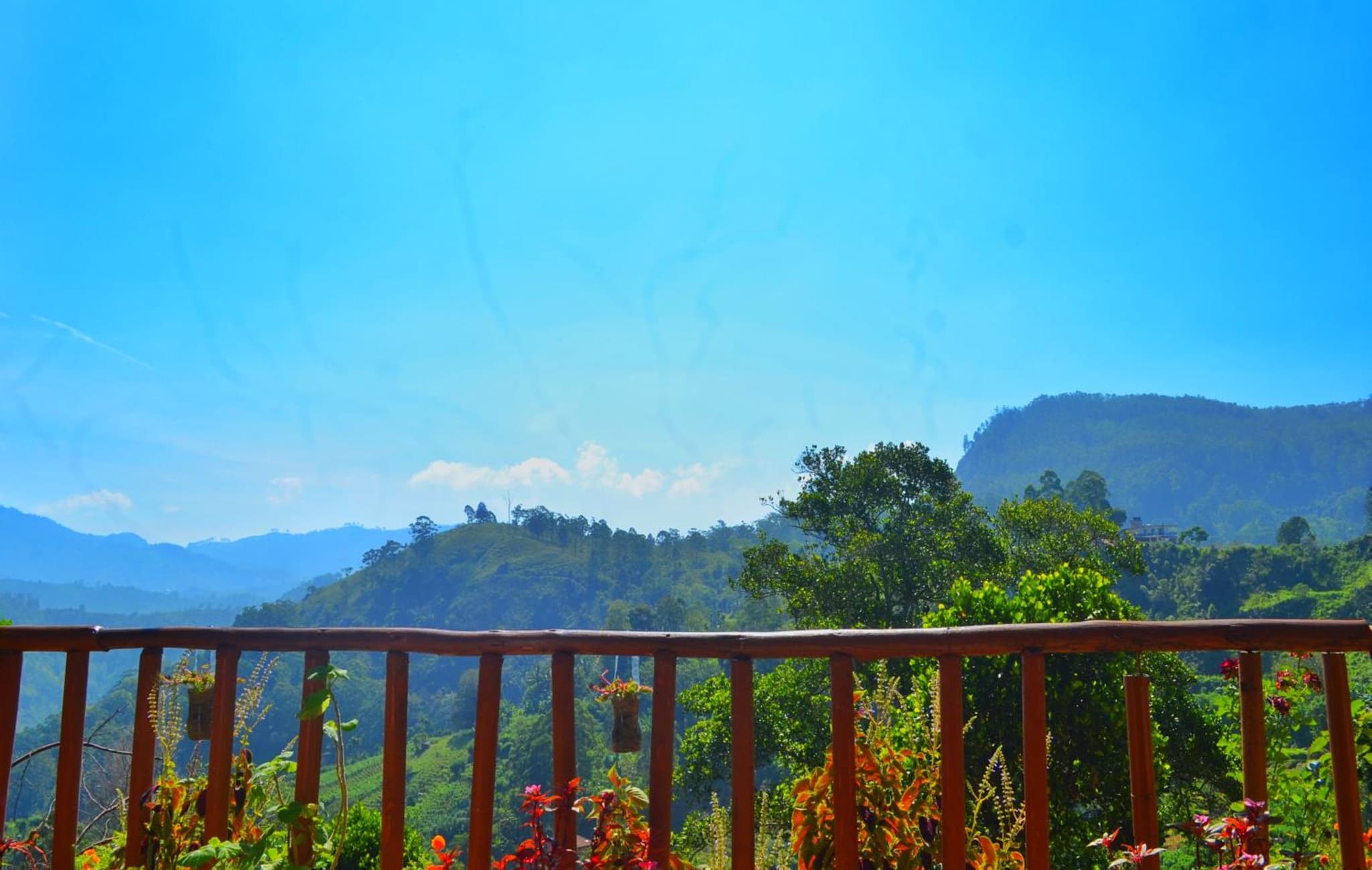 Rainbow Sky Cottage photo 9