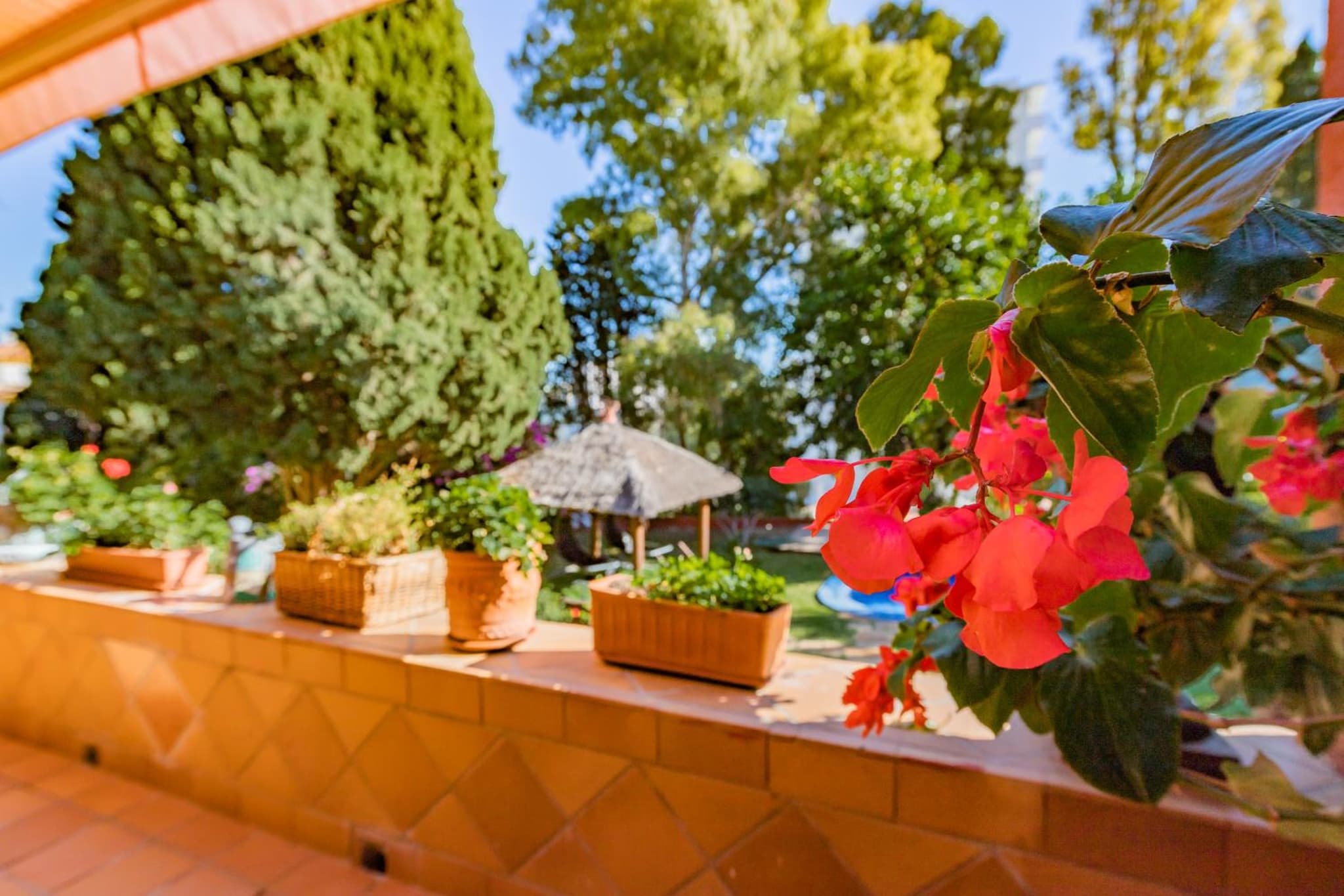 Casa Paraíso Boutique B&B photo 4