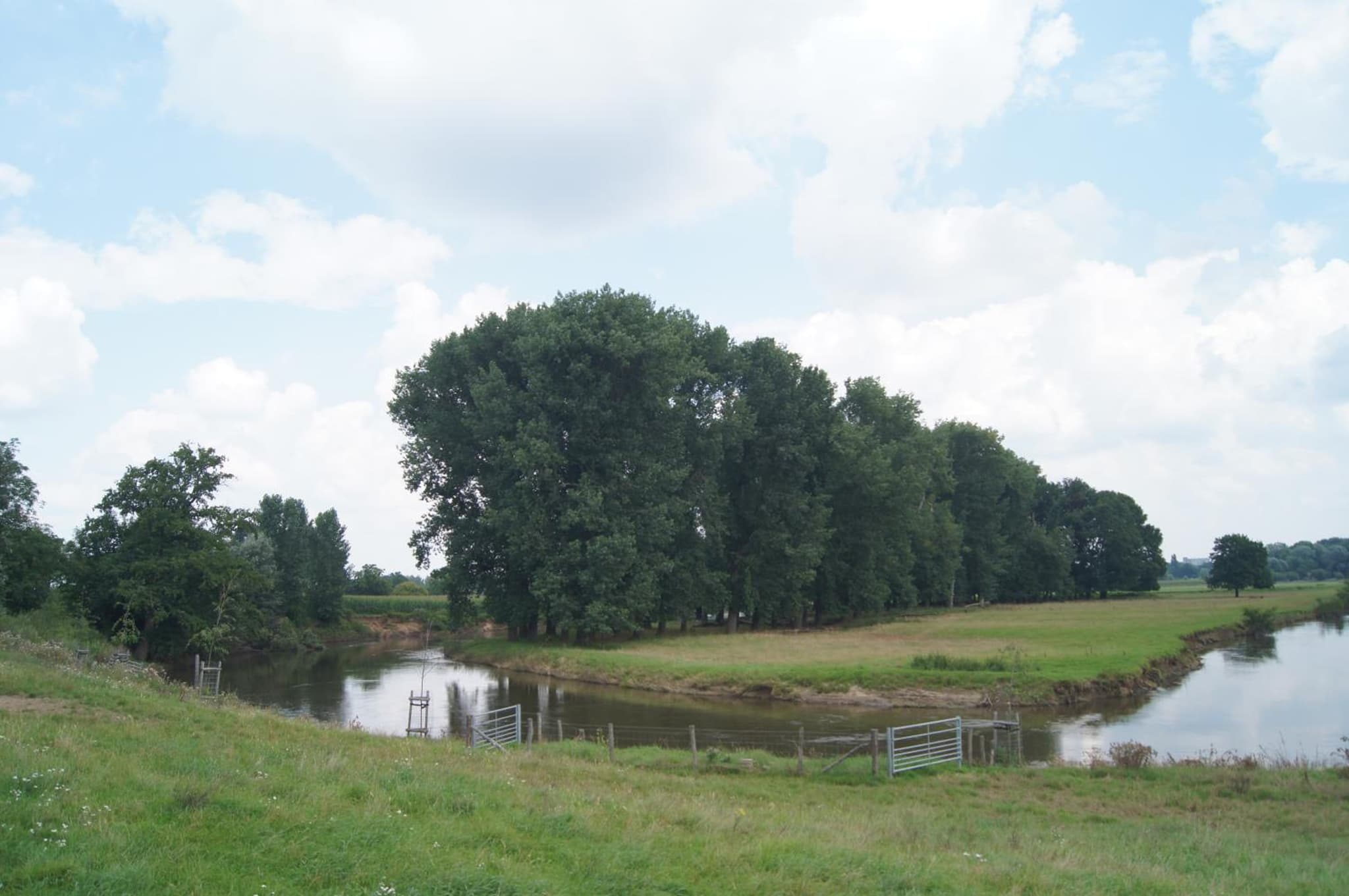 Hoeve Linnerveld XL photo 3