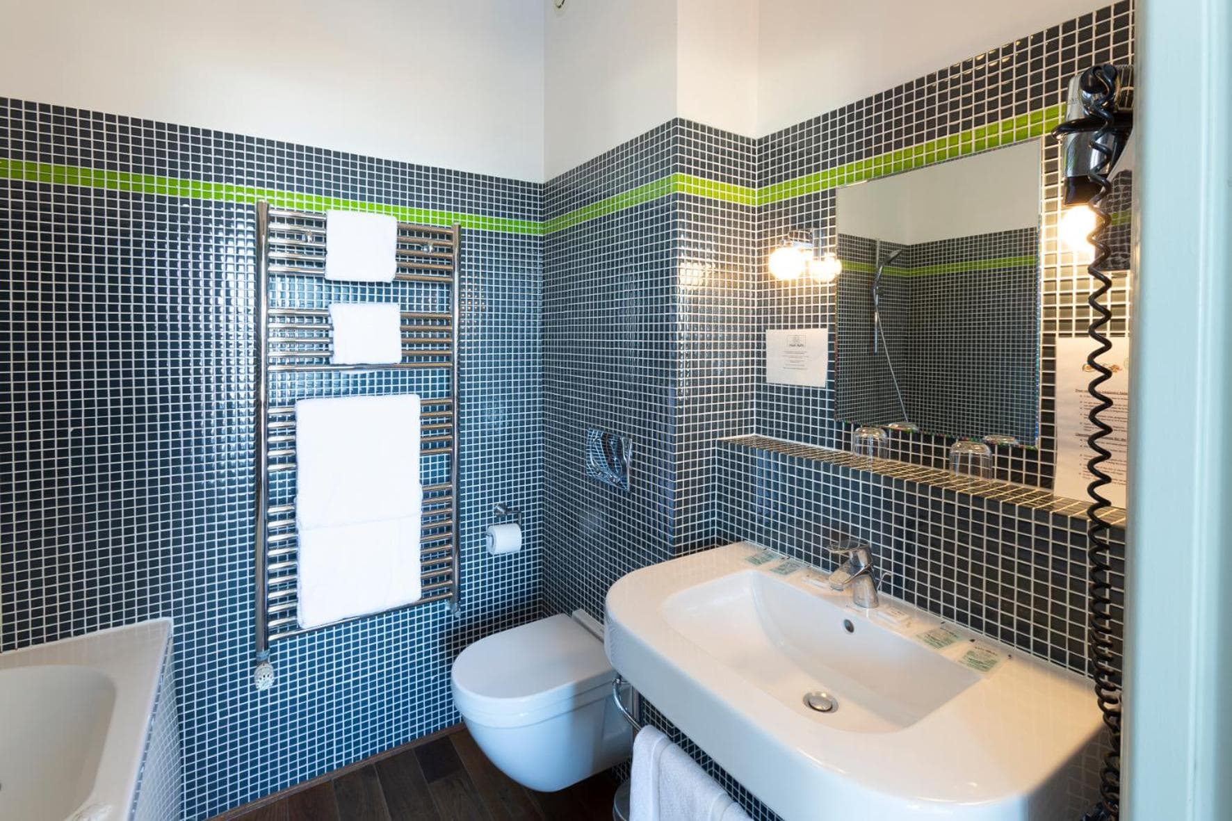 Hotel Le Rayon Vert photo 4