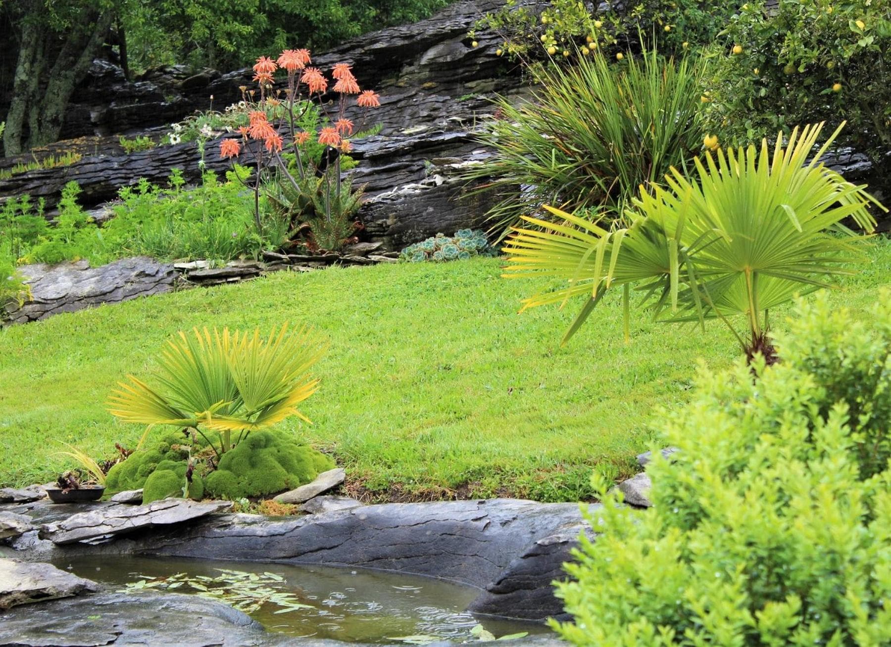 Labyrinth Gardens Guest House photo 7