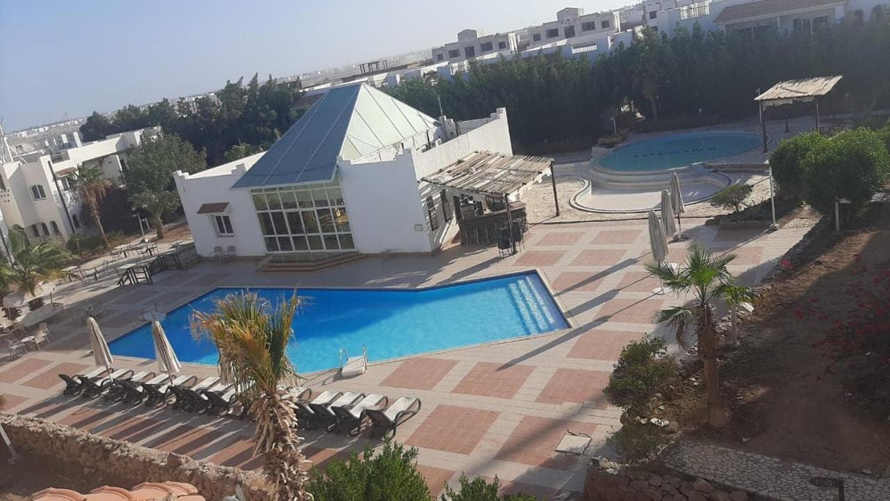 Logaina Sharm Resort photo 3