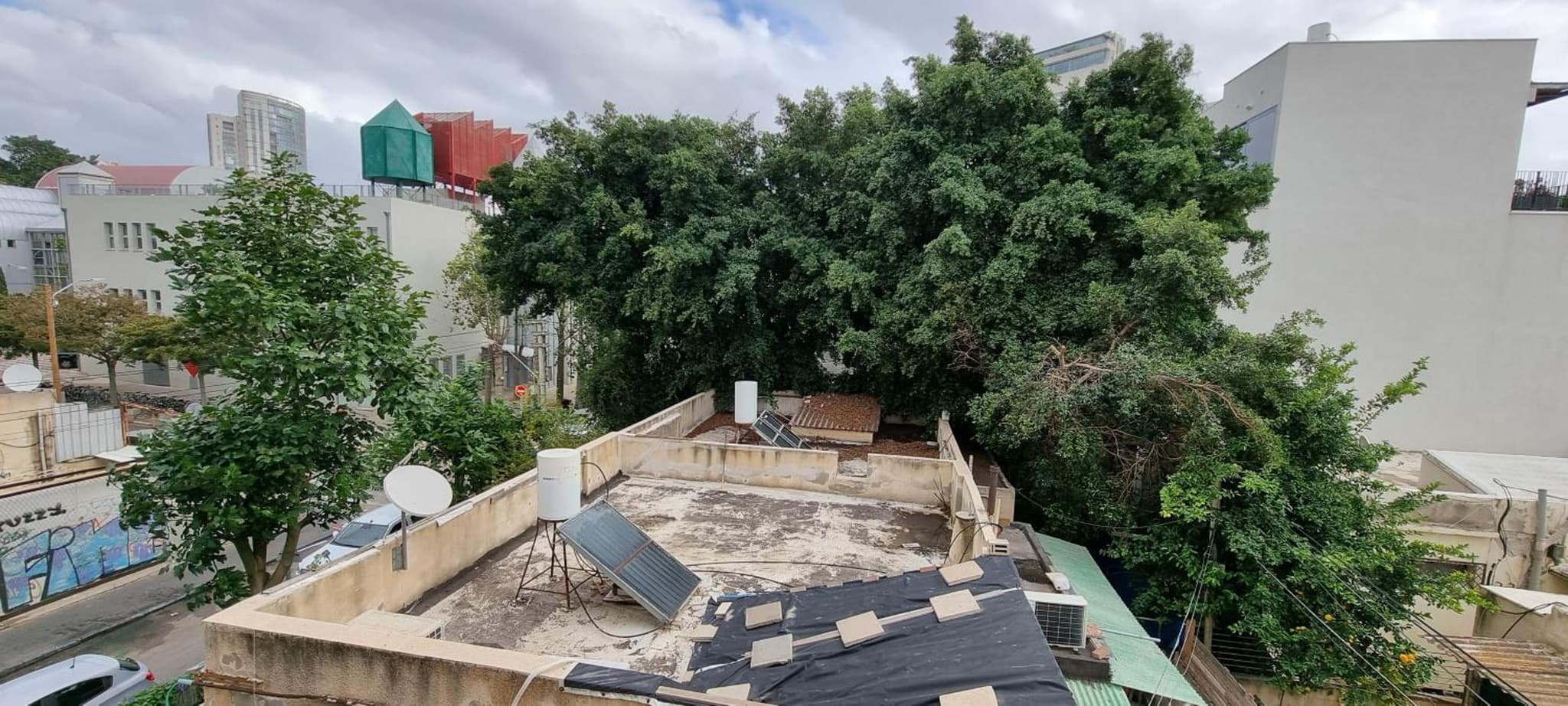 BnBIsrael apartments - Kalisher Ophrys photo 9